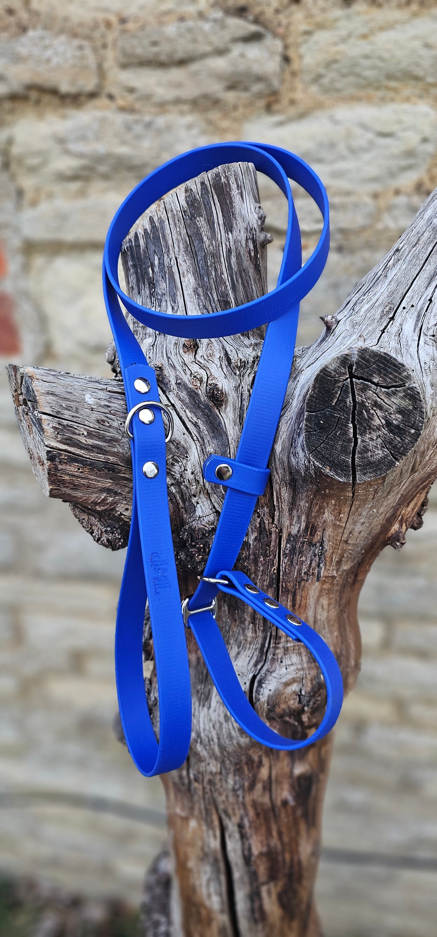 Royal Blue - Waterproof BioThane® Dog Slip Lead