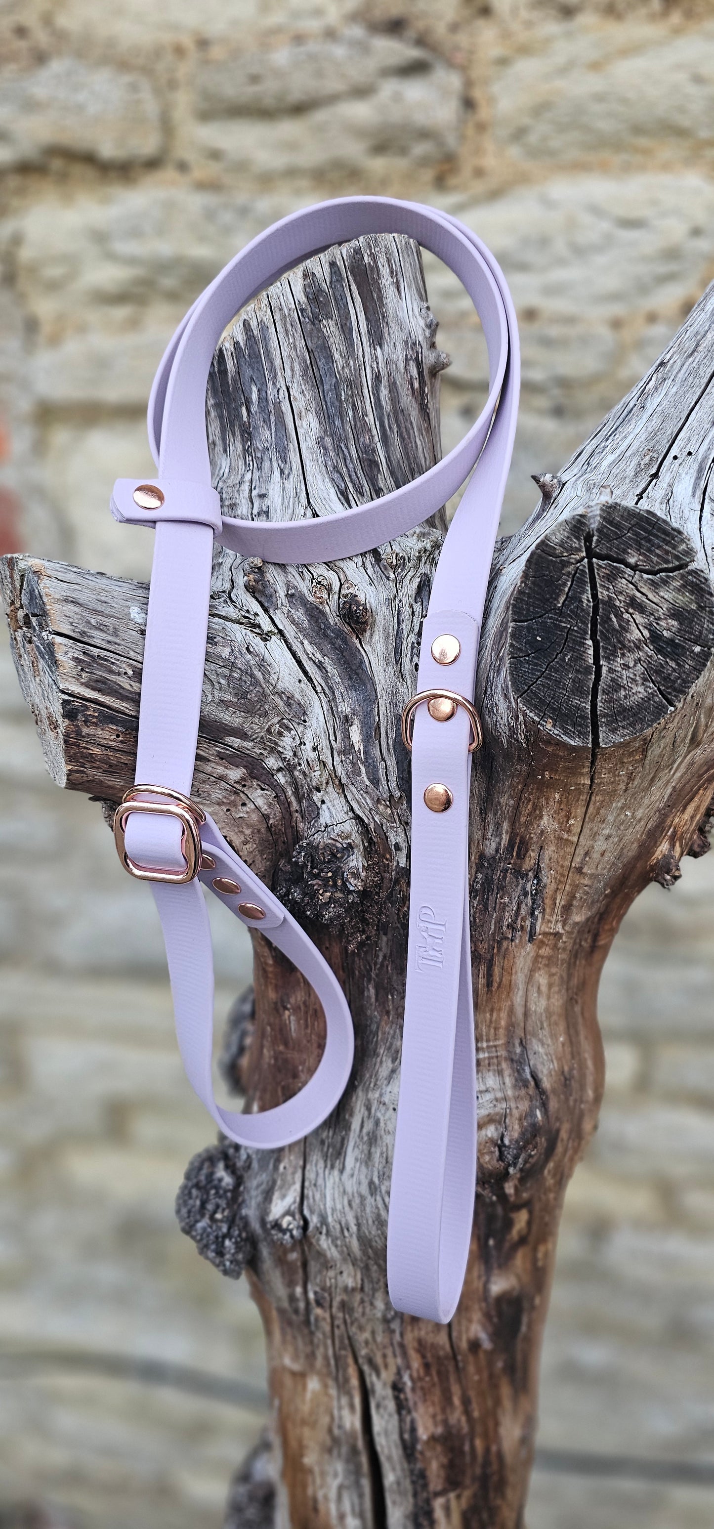 Lilac - Waterproof BioThane® Dog Slip Lead