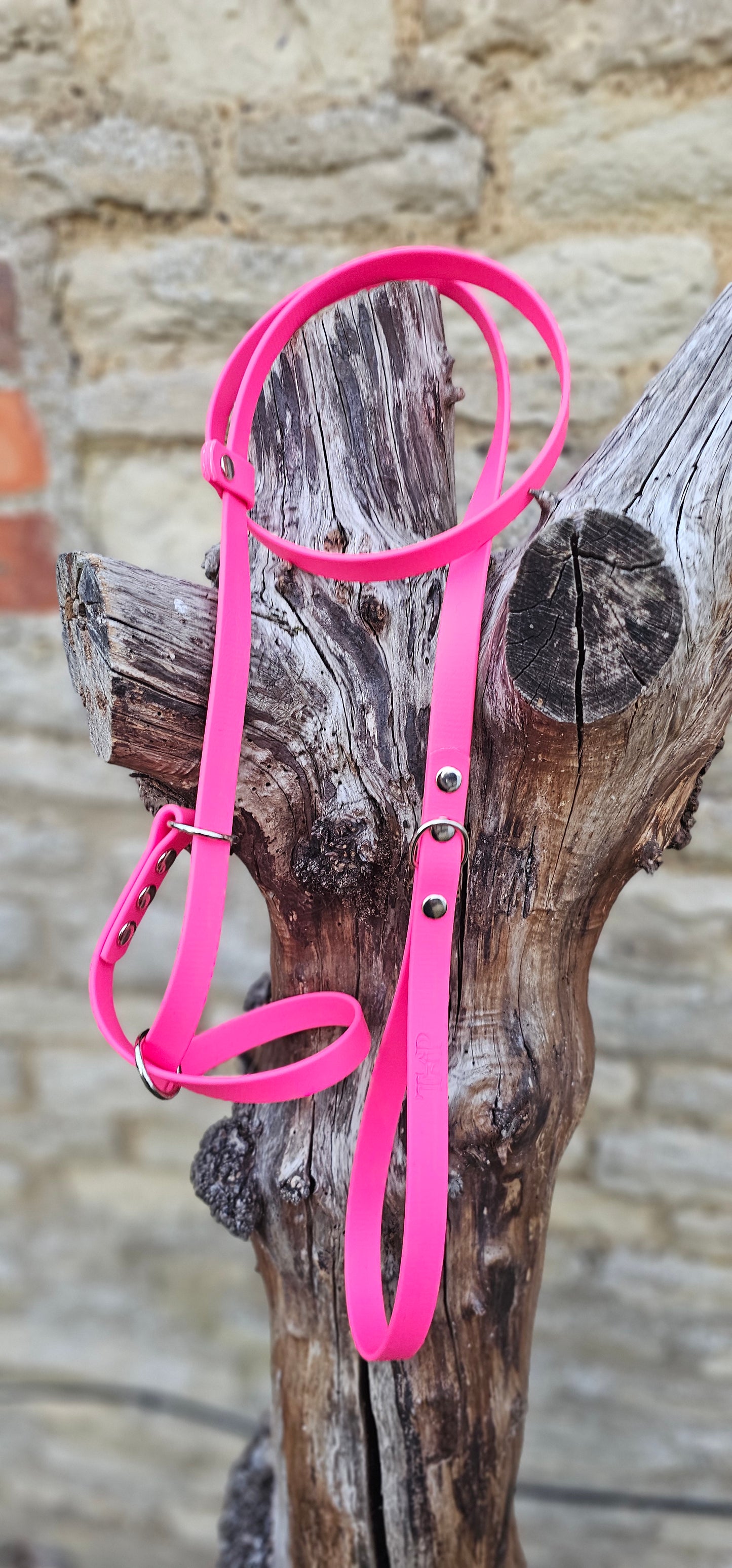 Passion Pink - Waterproof BioThane© Figure8 Dog Lead