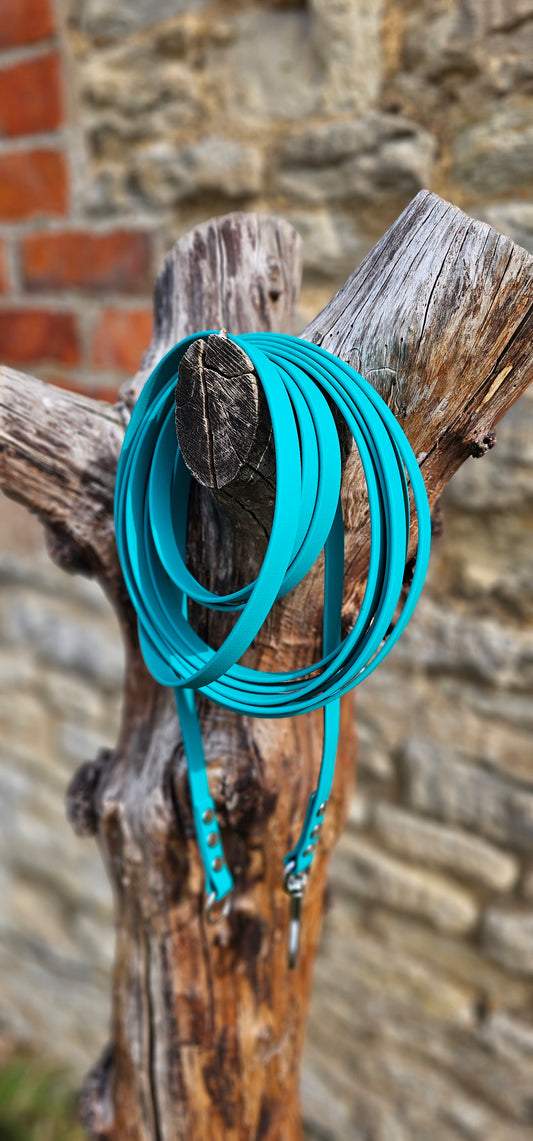 Teal - Classic Waterproof Webbing Dog Long Line Lead