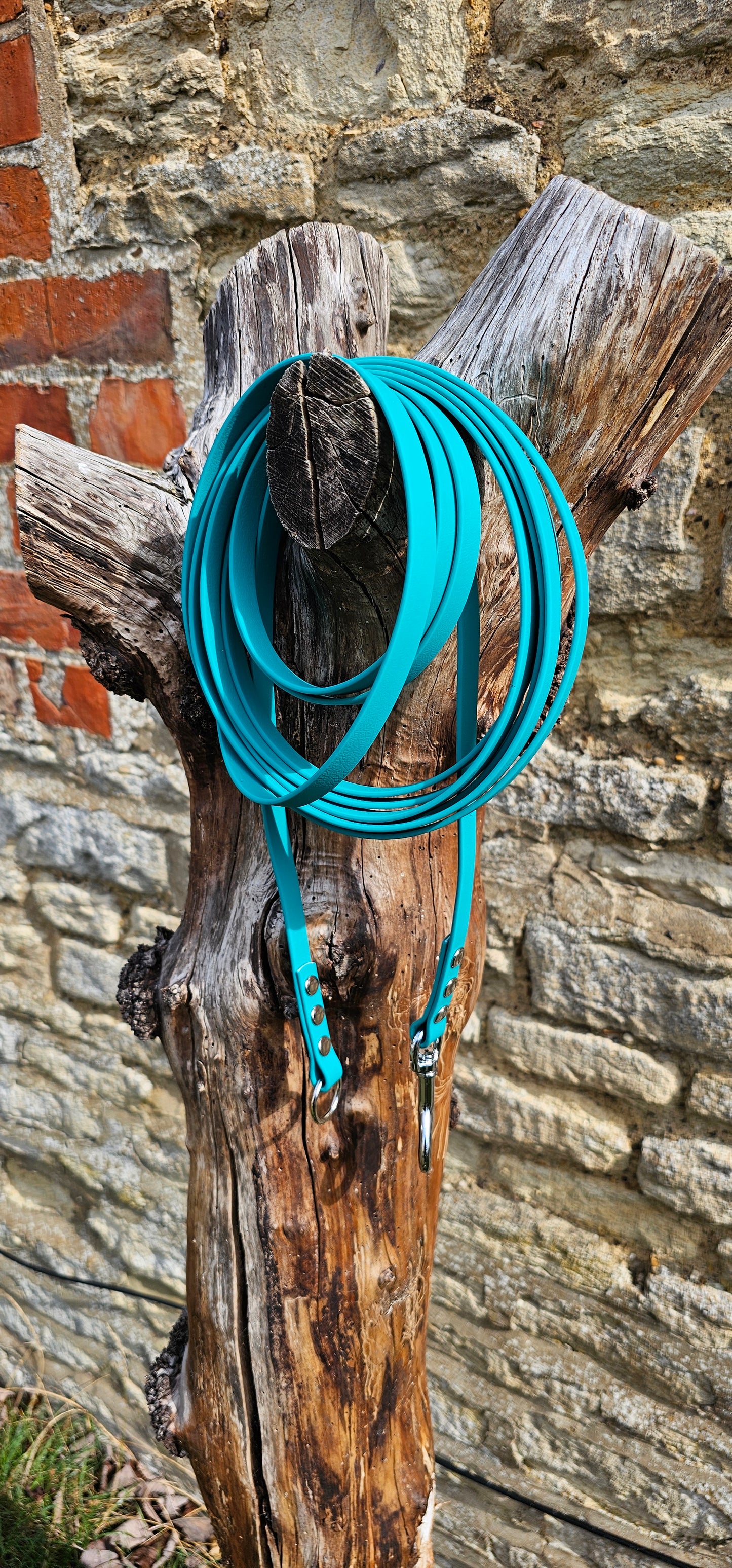Teal - Classic Waterproof Webbing Dog Long Line Lead