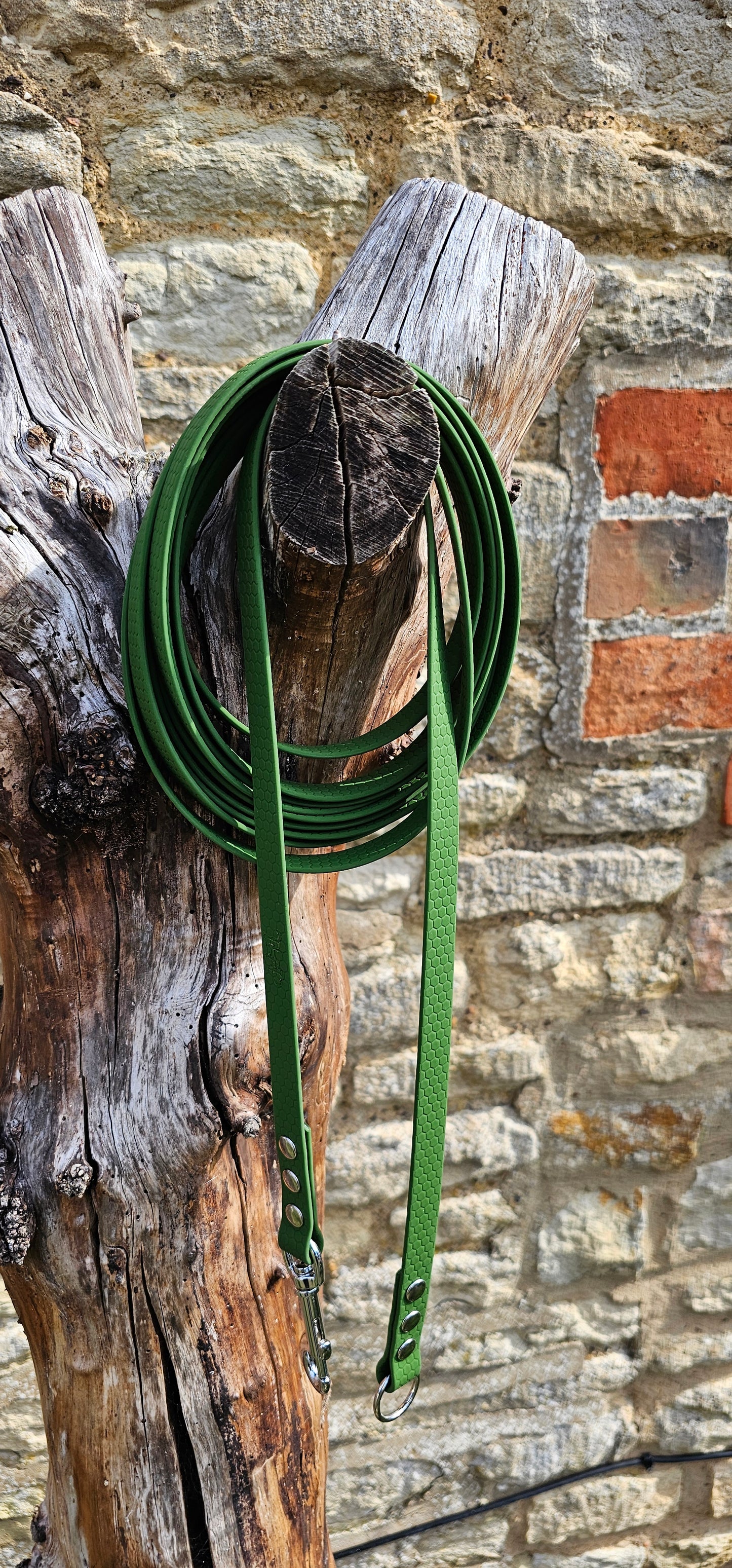 Olive - Classic Waterproof Webbing Dog Long Line Lead