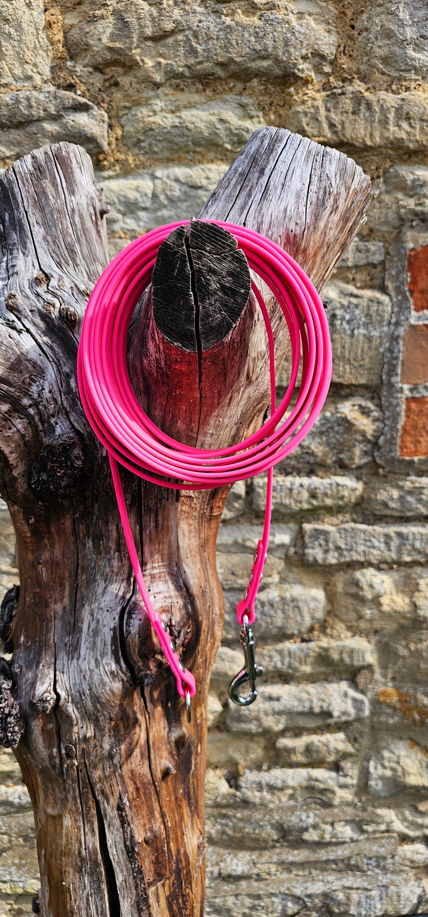Neon Pink - Classic Waterproof Webbing Dog Long Line Lead