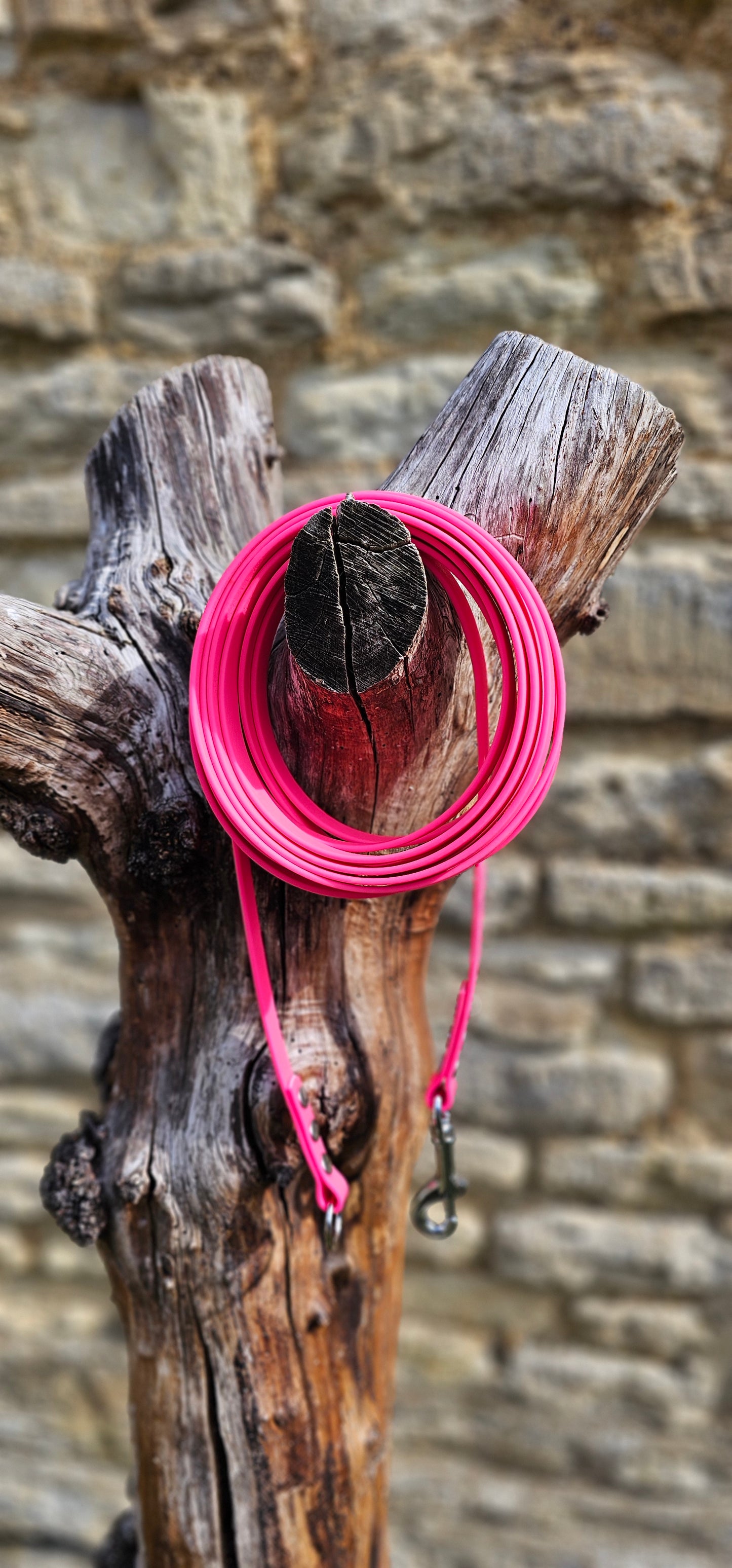 Neon Pink - Classic Waterproof Webbing Dog Long Line Lead