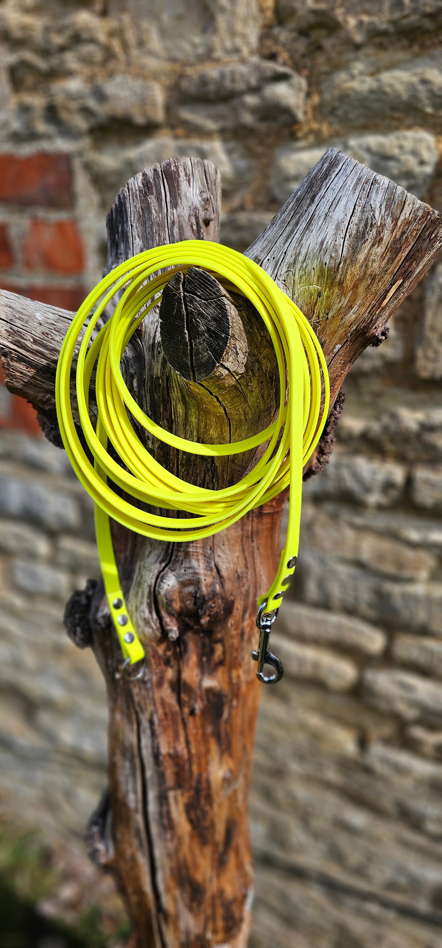 Neon Yellow - Classic Waterproof Webbing Dog Long Line Lead