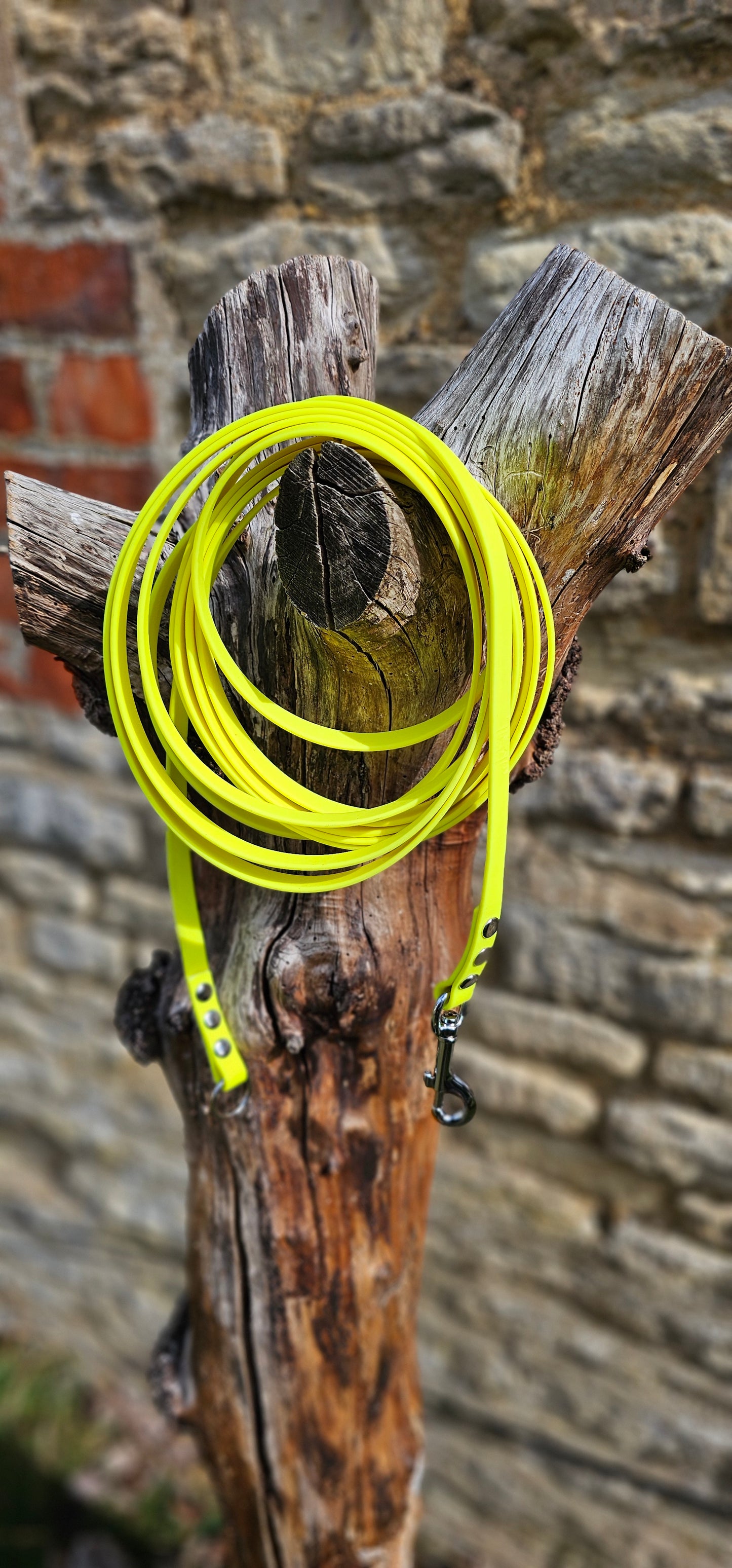 Neon Yellow - Classic Waterproof Webbing Dog Long Line Lead