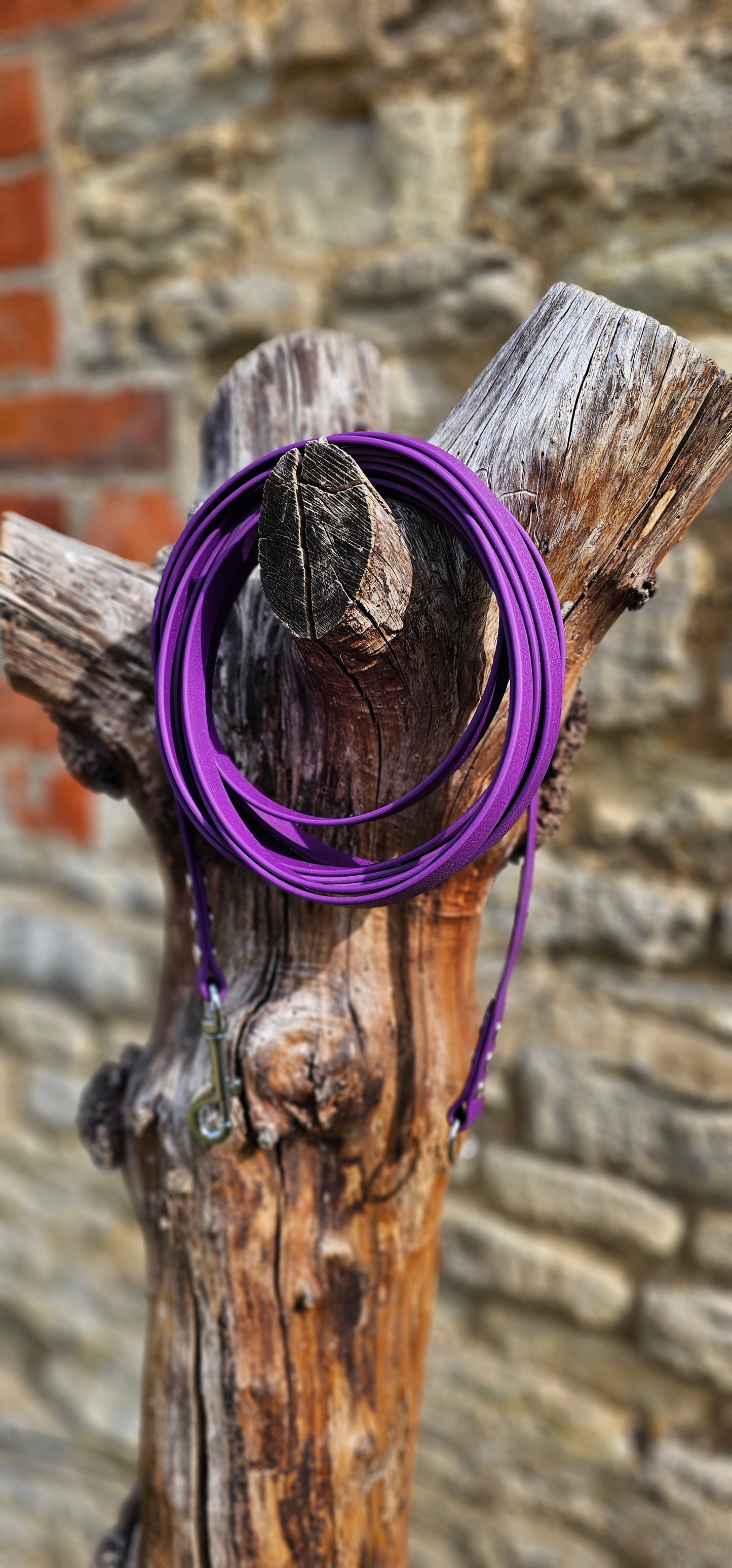Warm Purple - Classic Waterproof Webbing Dog Long Line Lead