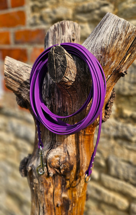 Warm Purple - Classic Waterproof Webbing Dog Long Line Lead
