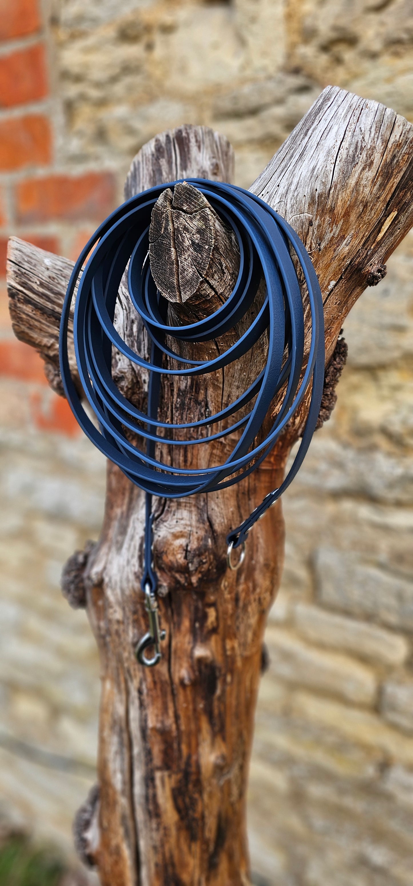 Kerosene - Classic Waterproof Webbing Dog Long Line Lead