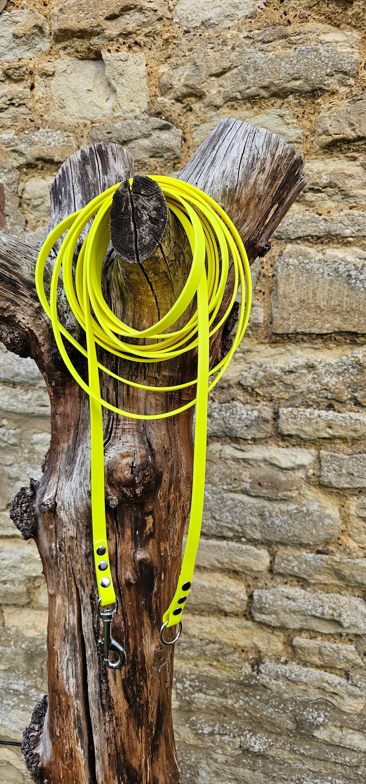 Neon Yellow - Classic Waterproof Webbing Dog Long Line Lead