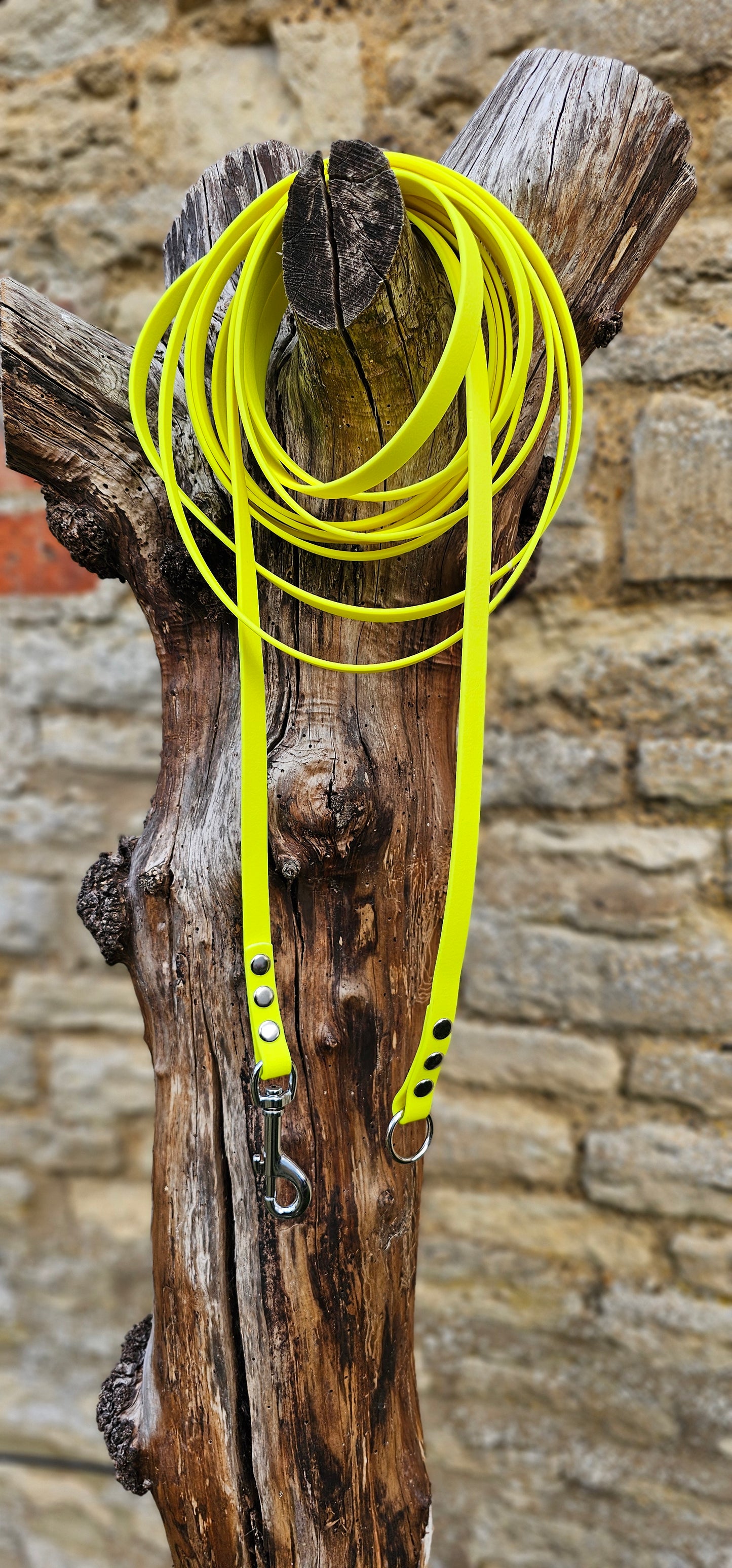 Neon Yellow - Classic Waterproof Webbing Dog Long Line Lead