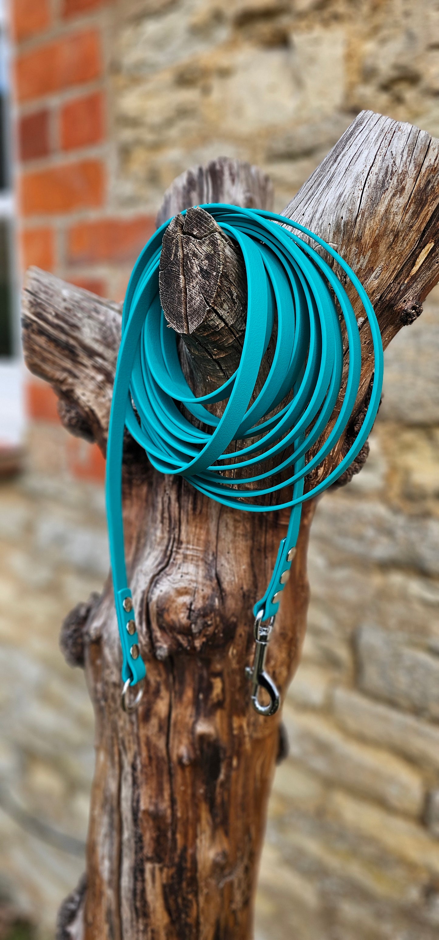 Teal - Classic Waterproof Webbing Dog Long Line Lead