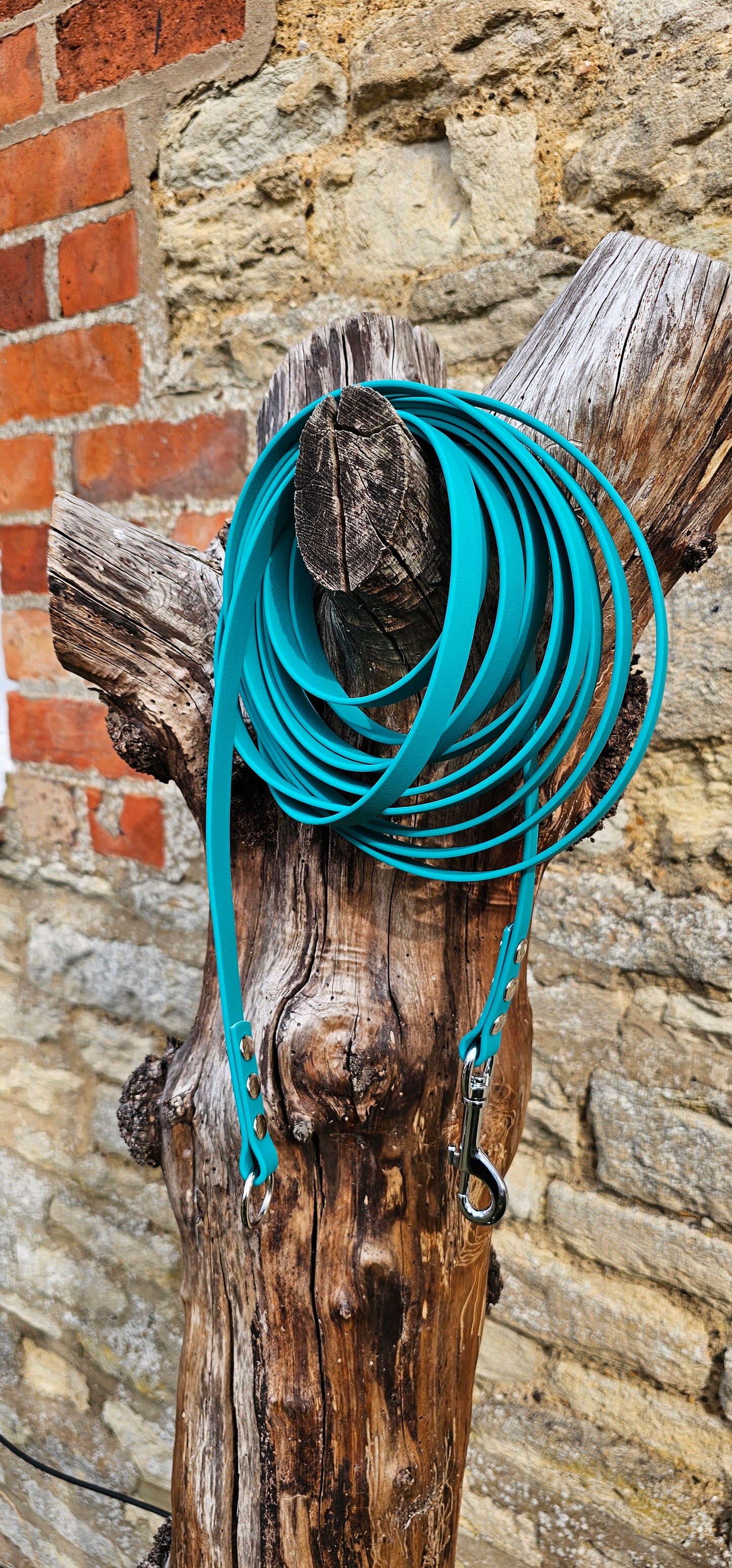 Teal - Classic Waterproof Webbing Dog Long Line Lead