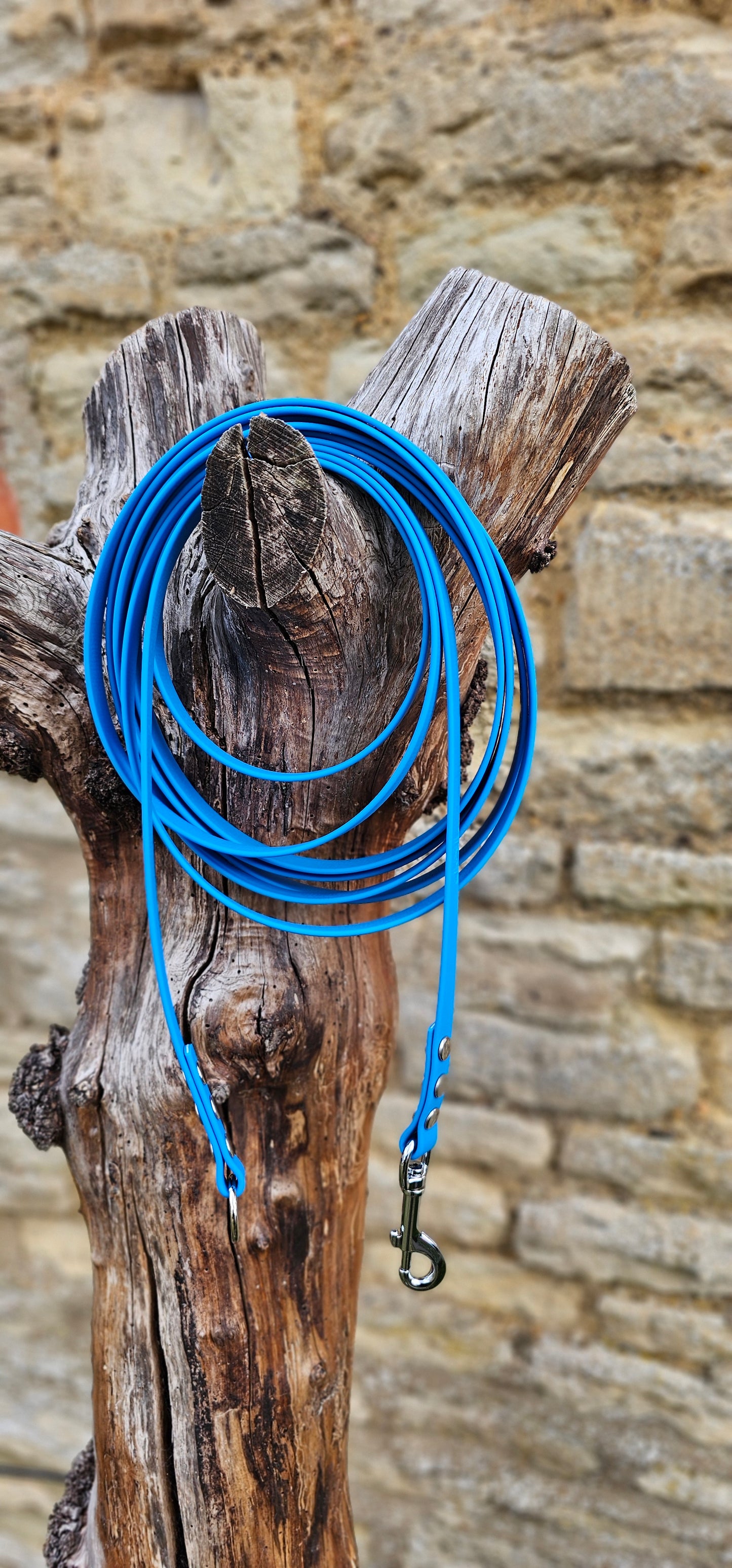 Sky Blue - Classic Waterproof Webbing Dog Long Line Lead