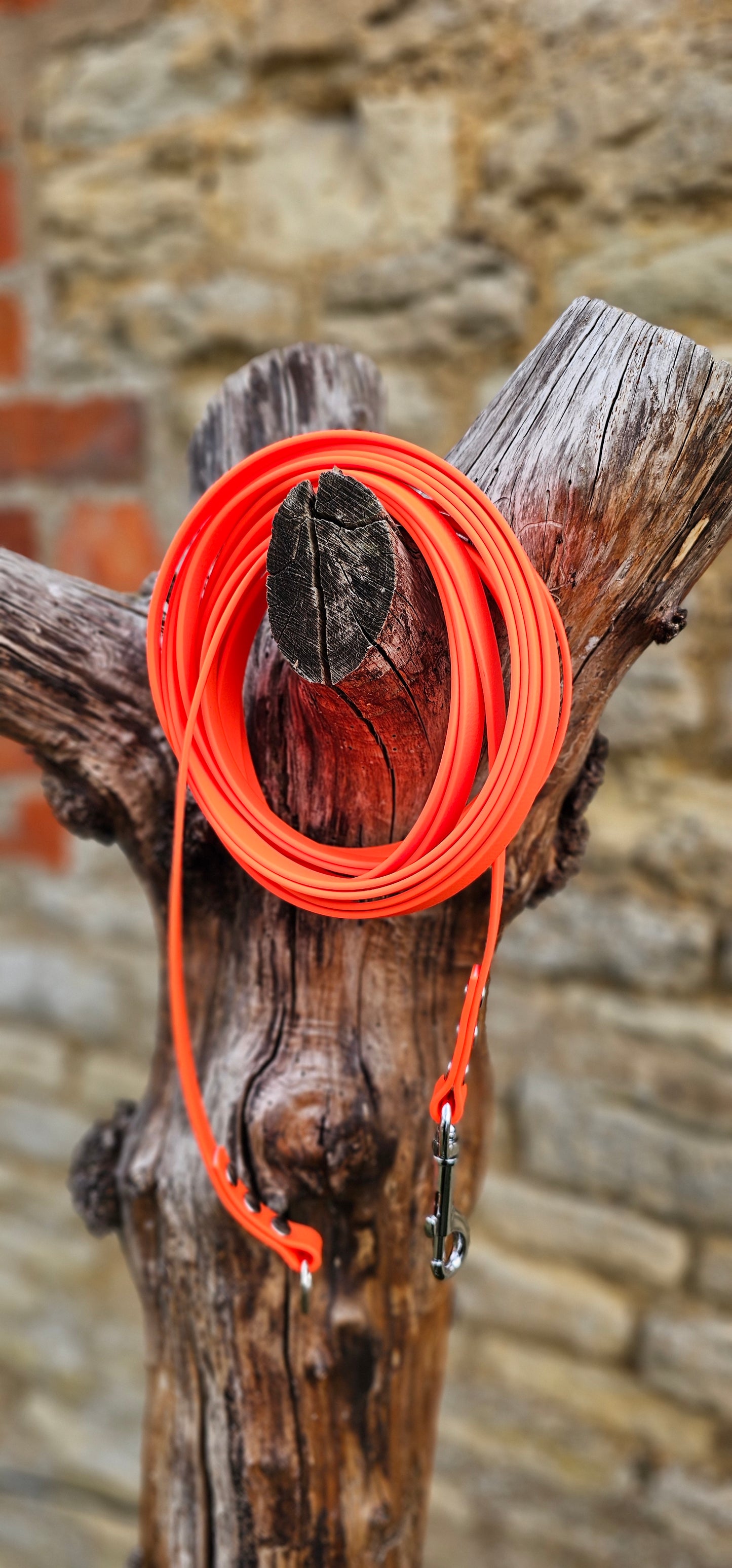 Neon Orange - Classic Waterproof Webbing Dog Long Line Lead