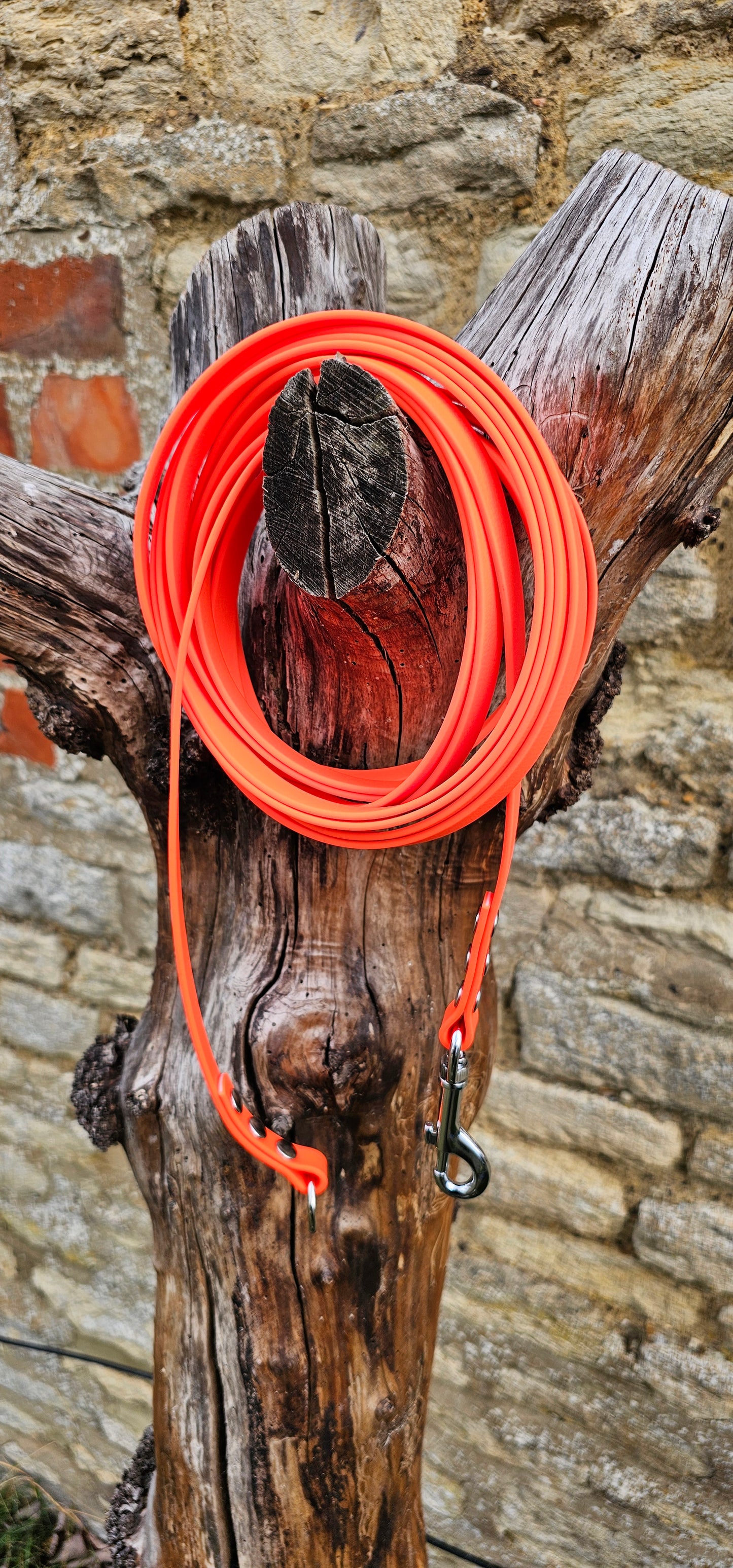 Neon Orange - Classic Waterproof Webbing Dog Long Line Lead