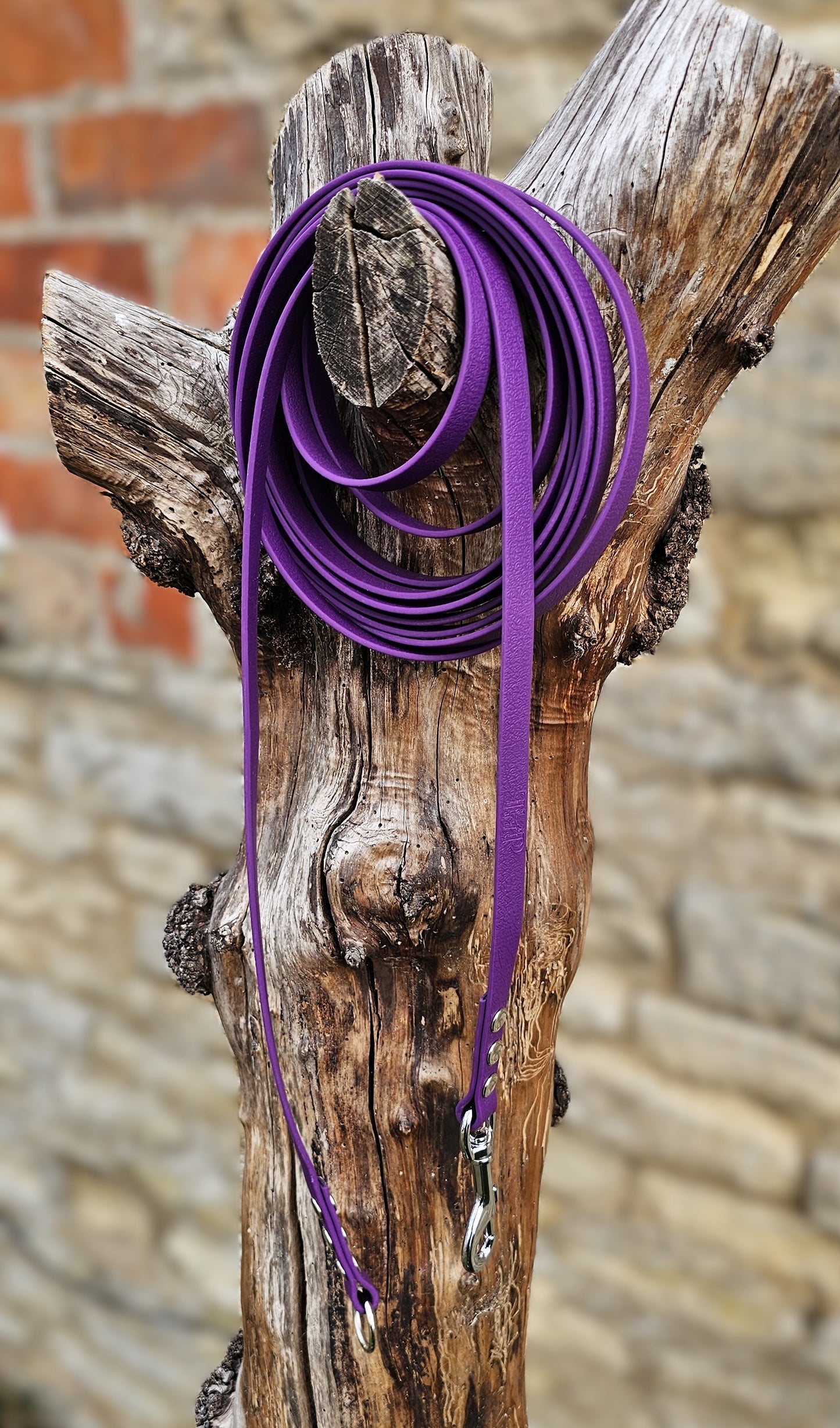 Warm Purple - Classic Waterproof Webbing Dog Long Line Lead