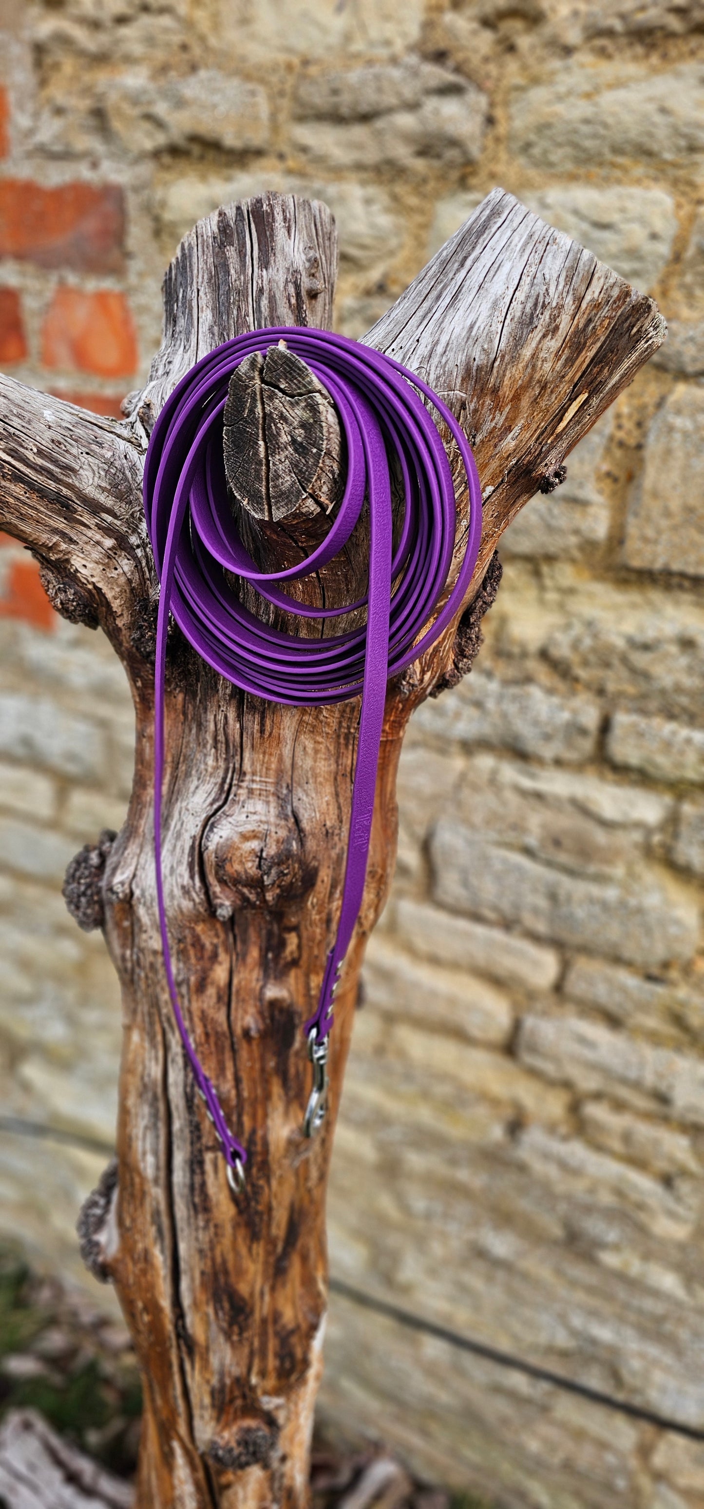 Warm Purple - Classic Waterproof Webbing Dog Long Line Lead
