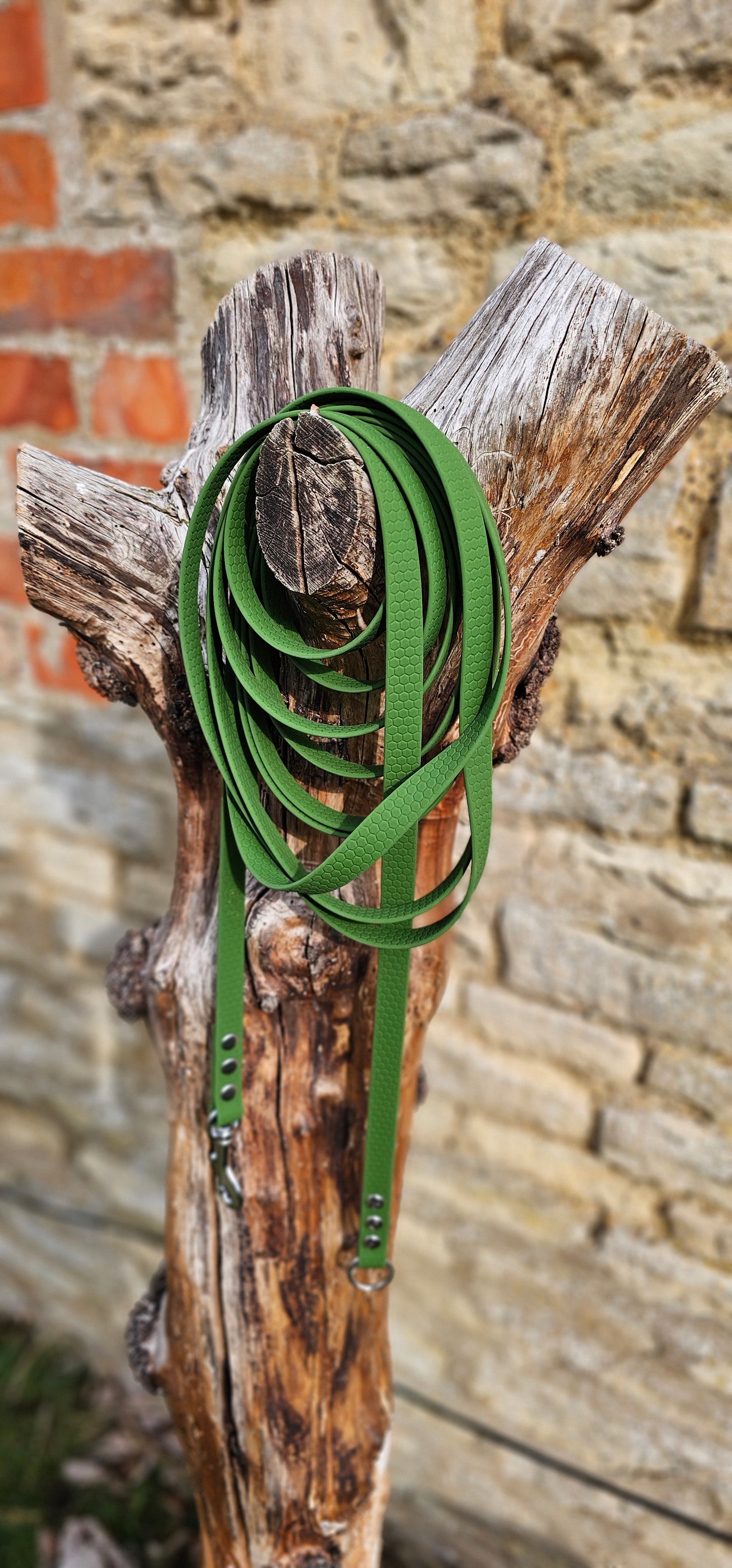 Olive - Classic Waterproof Webbing Dog Long Line Lead