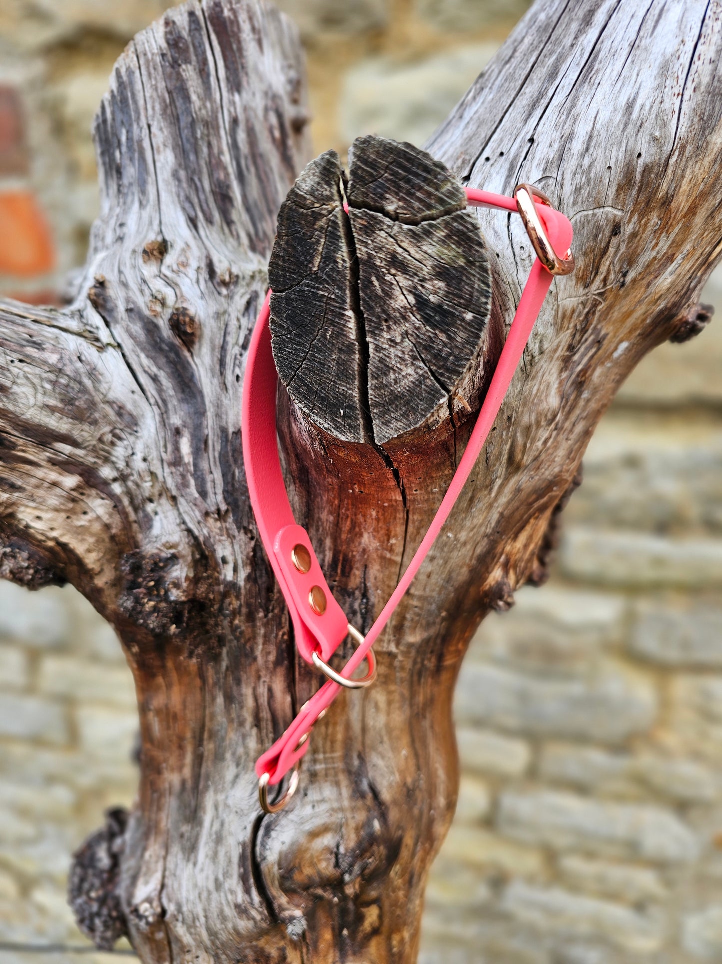 Coral Waterproof BioThane® safe-stop Slip Collar