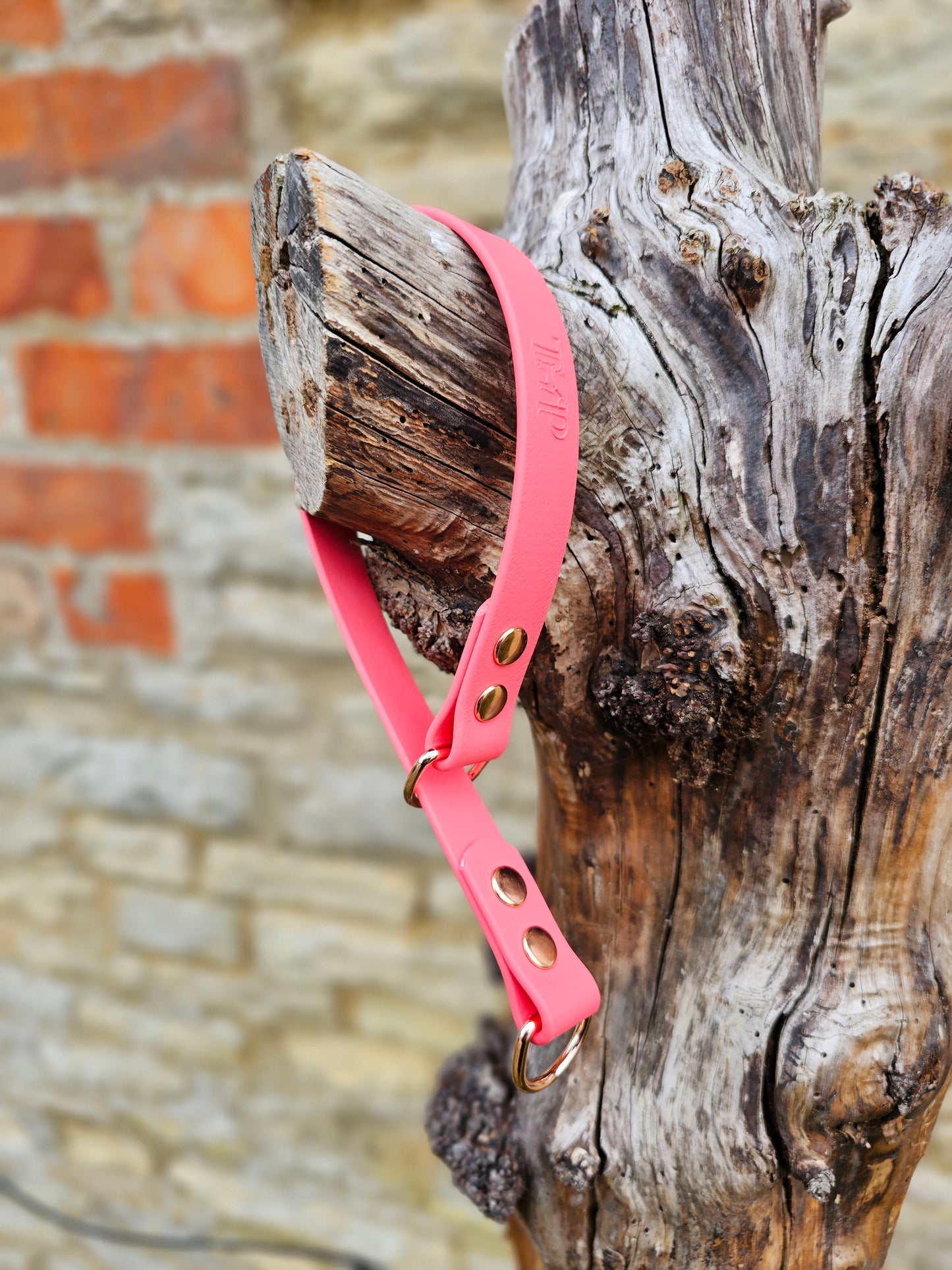 Coral Waterproof BioThane® safe-stop Slip Collar