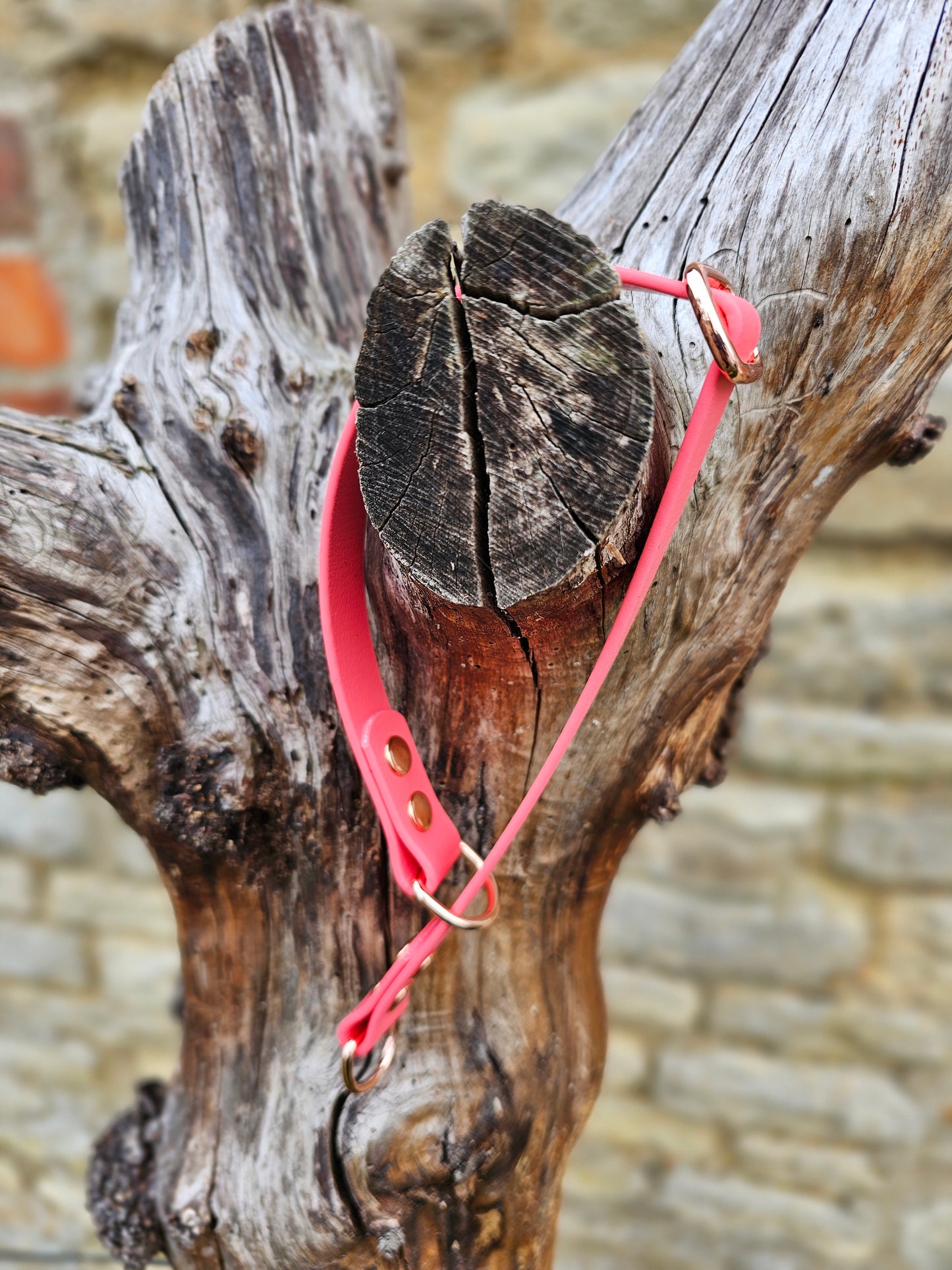 Coral Waterproof BioThane® safe-stop Slip Collar