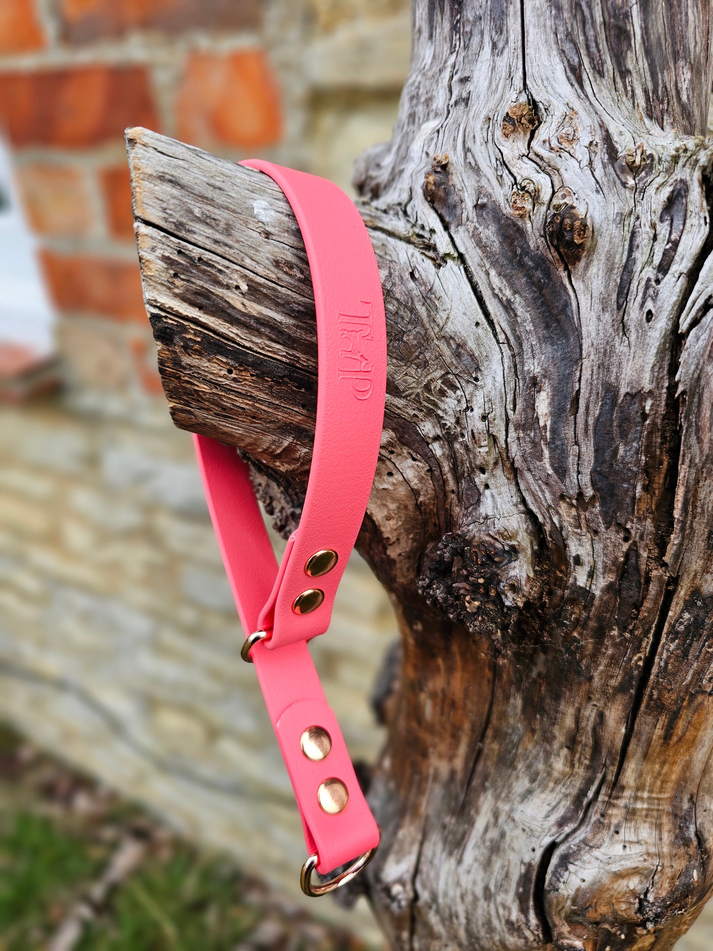 Coral Waterproof BioThane® safe-stop Slip Collar