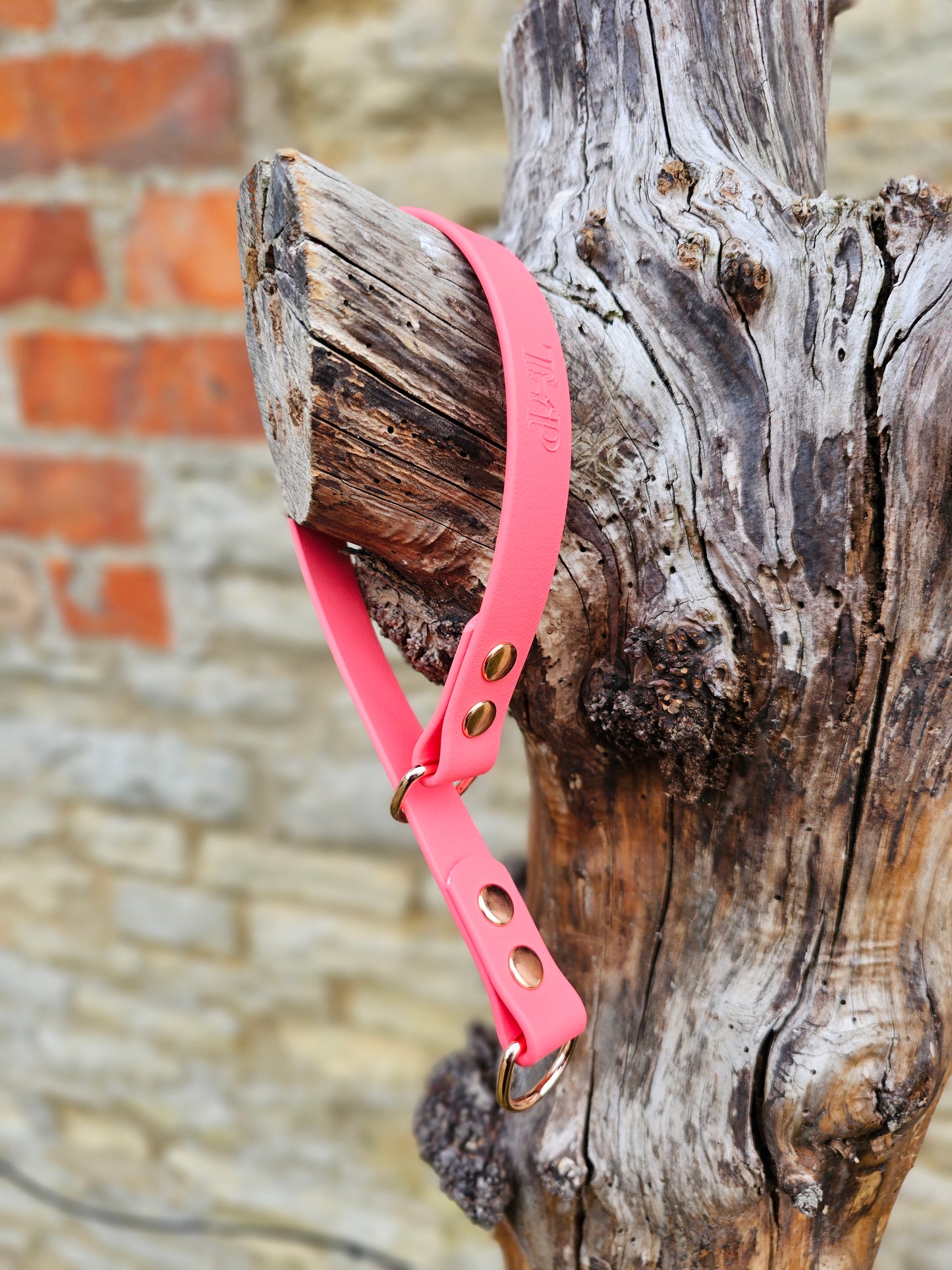 Coral Waterproof BioThane® safe-stop Slip Collar