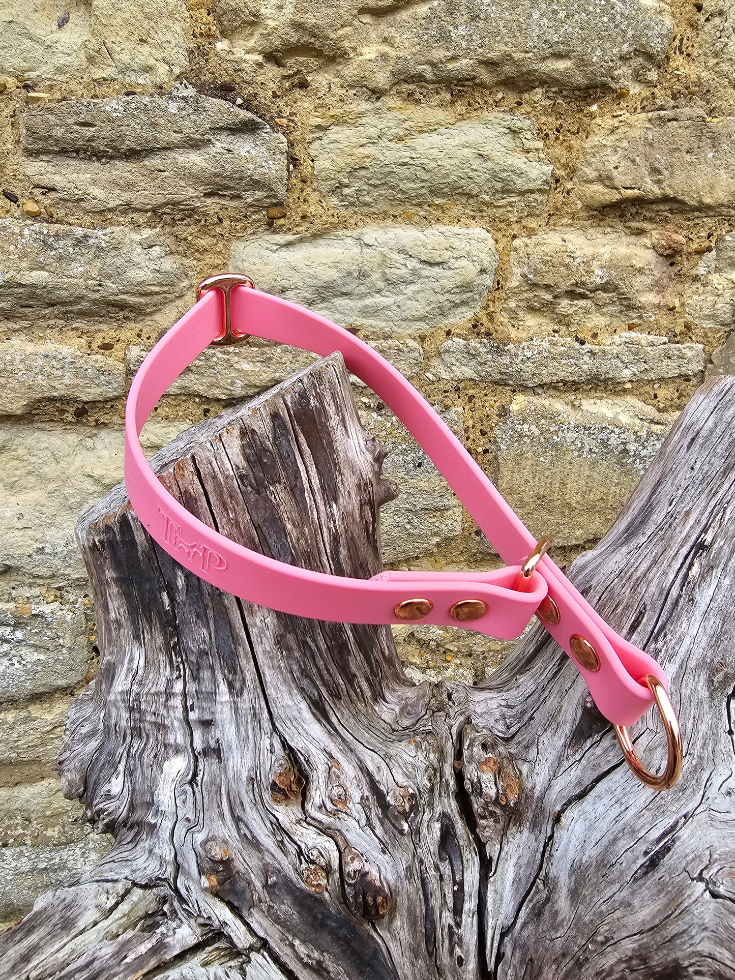 Baby Pink Waterproof BioThane® safe-stop Slip Collar