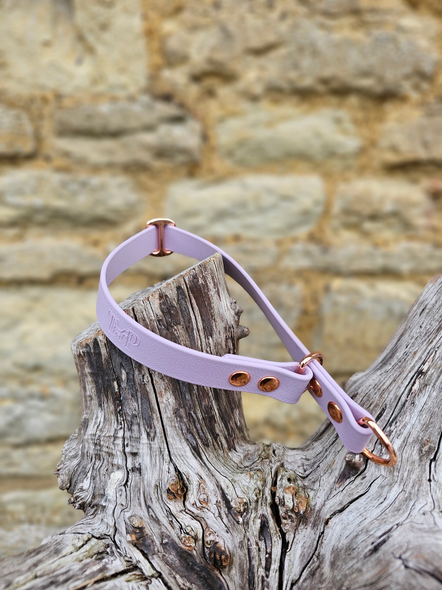Lilac Waterproof BioThane® safe-stop Slip Collar