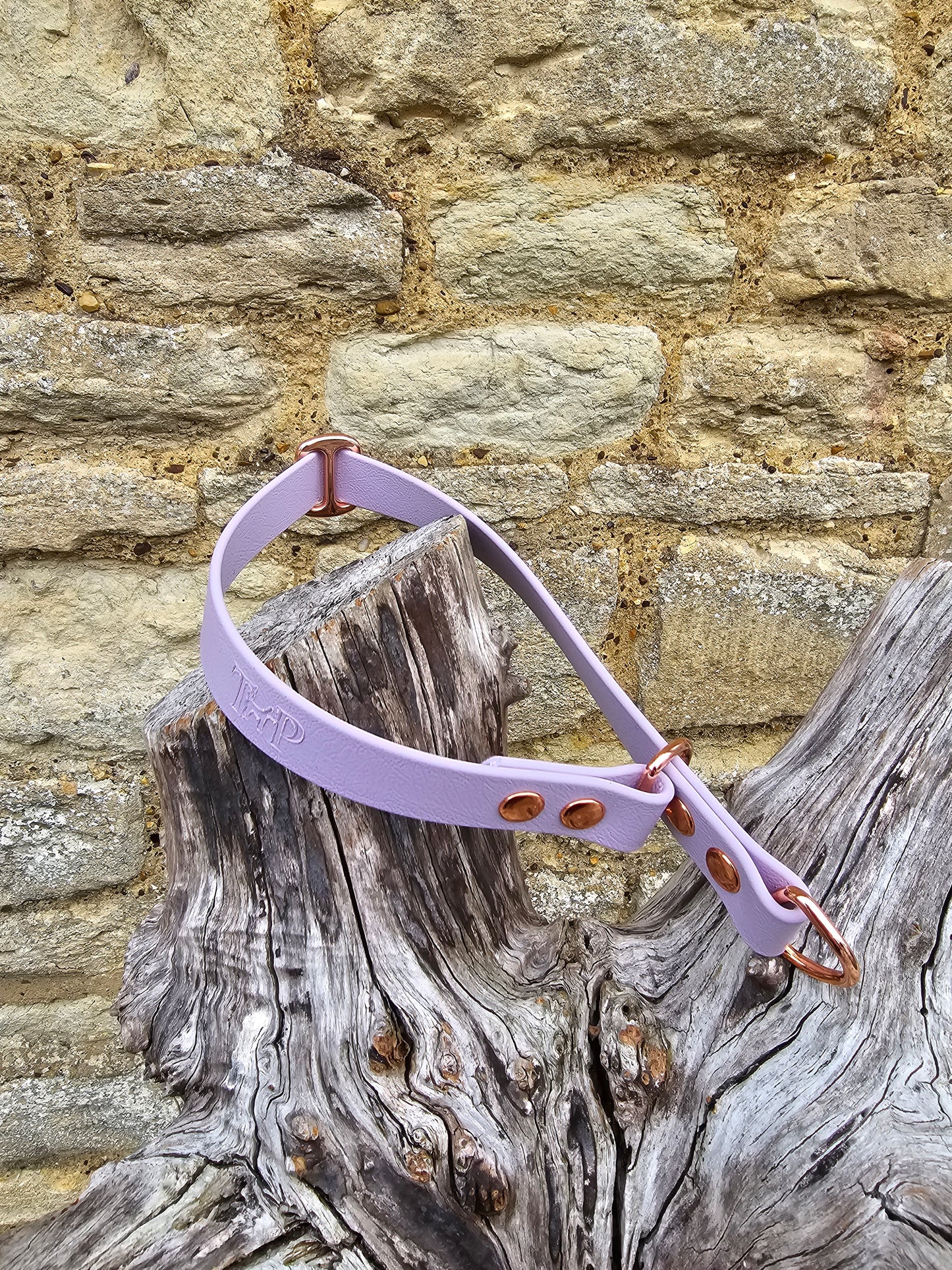 Lilac Waterproof BioThane® safe-stop Slip Collar