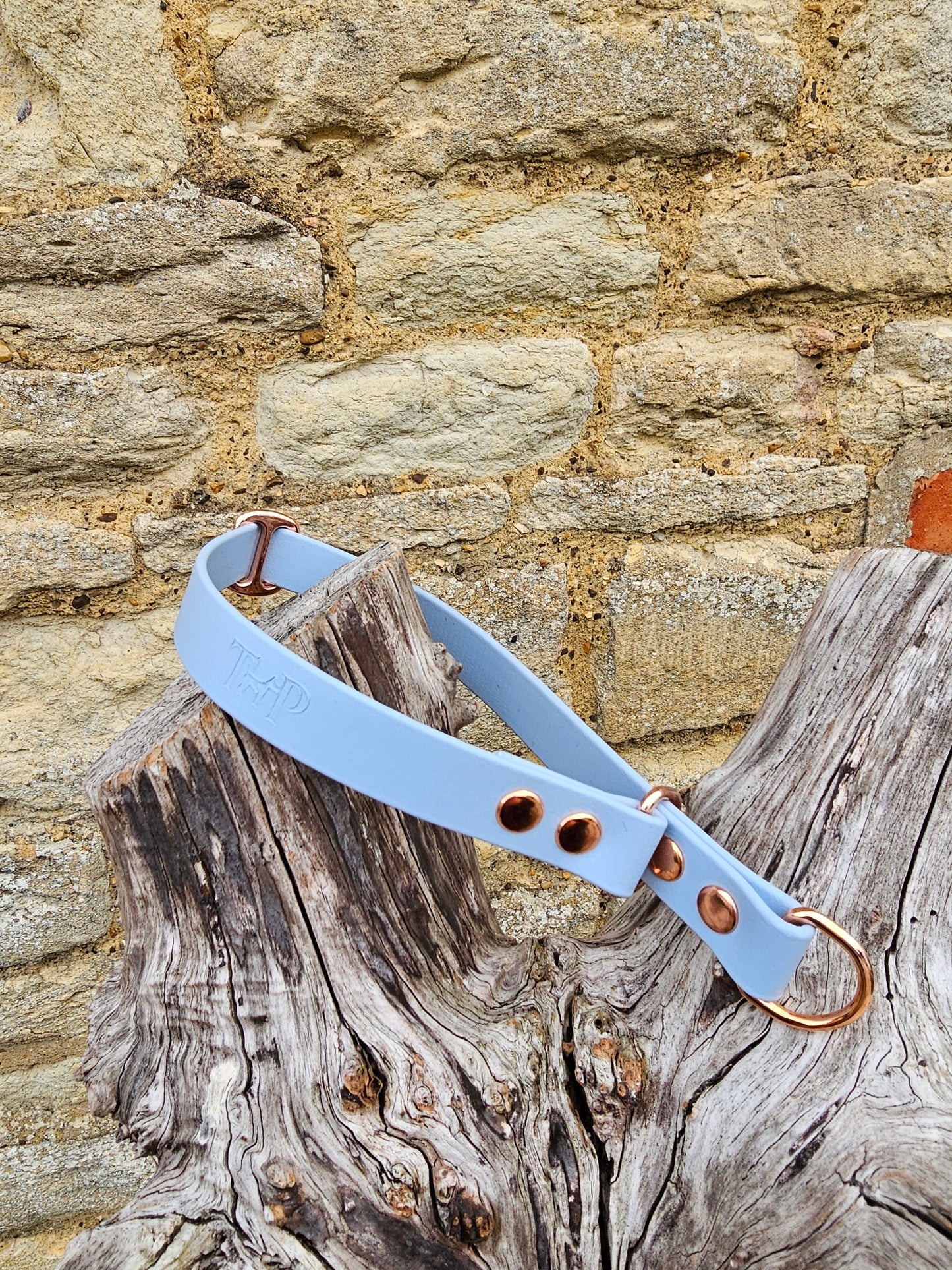 Baby Blue Waterproof BioThane® safe-stop Slip Collar
