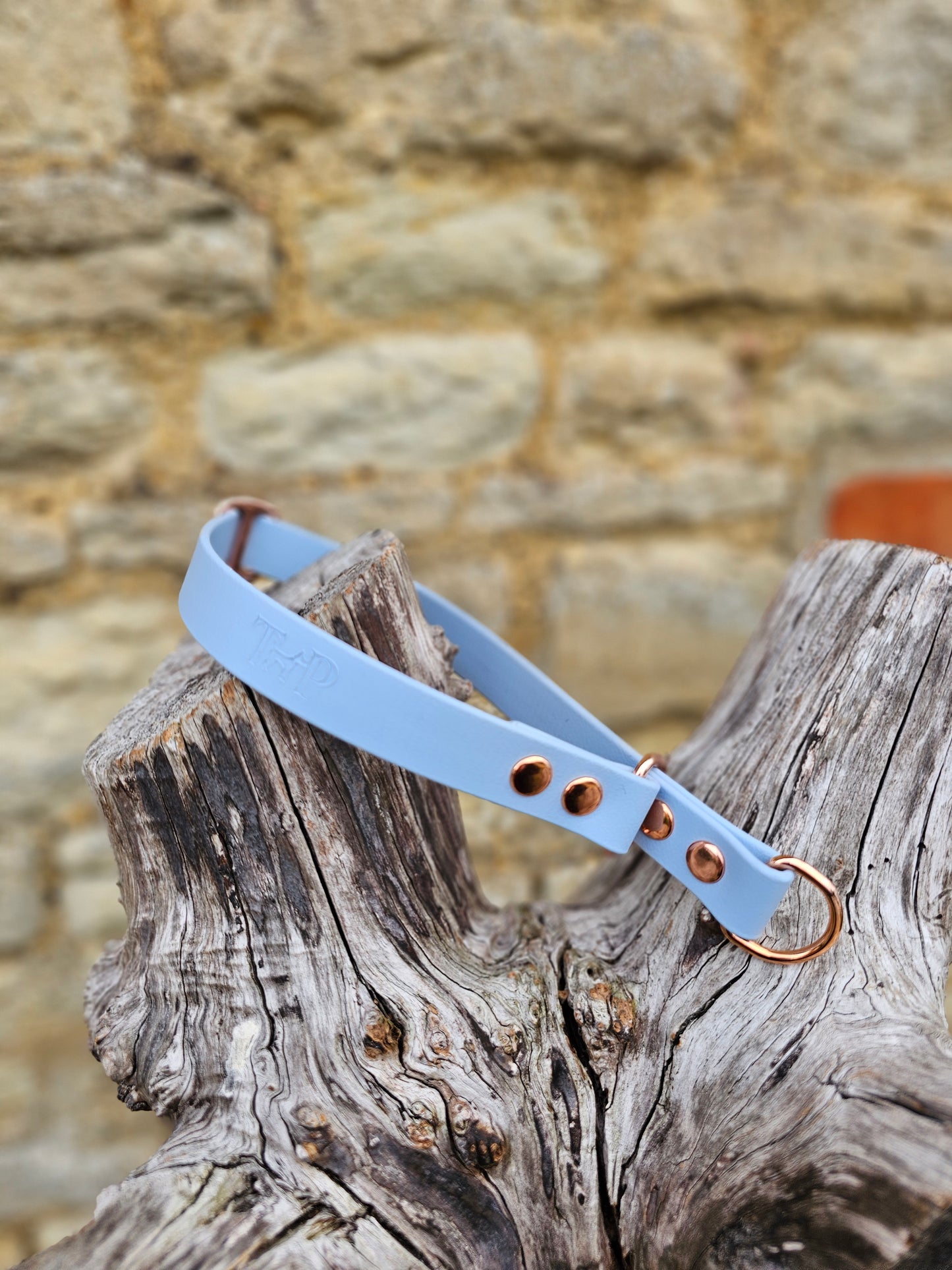 Baby Blue Waterproof BioThane® safe-stop Slip Collar