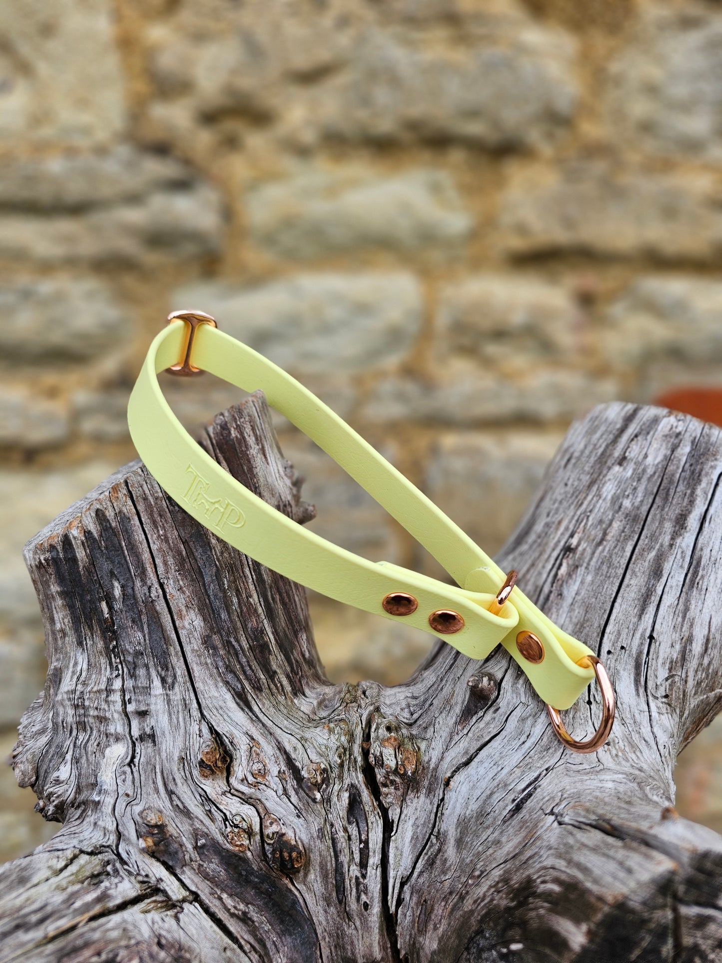 Lemon Waterproof BioThane® safe-stop Slip Collar