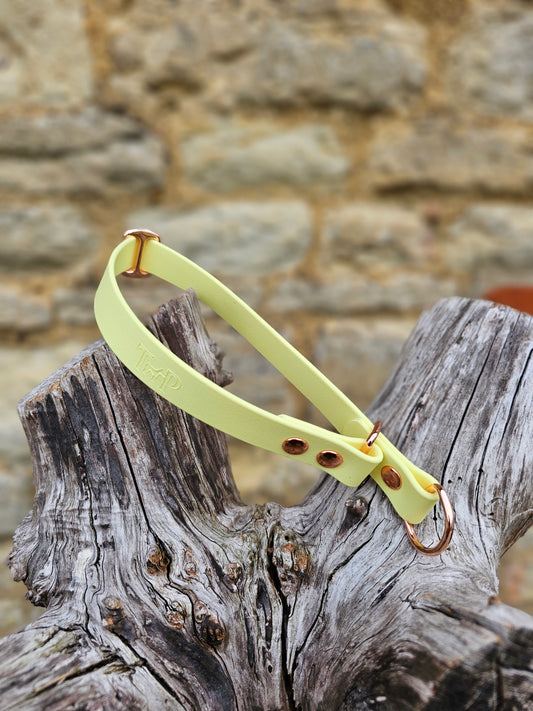 Lemon Waterproof BioThane® safe-stop Slip Collar