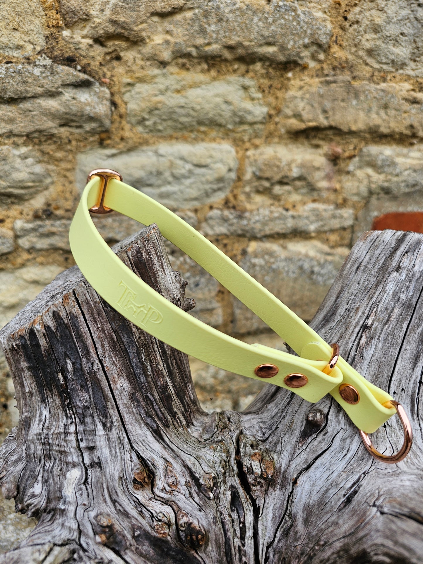 Lemon Waterproof BioThane® safe-stop Slip Collar