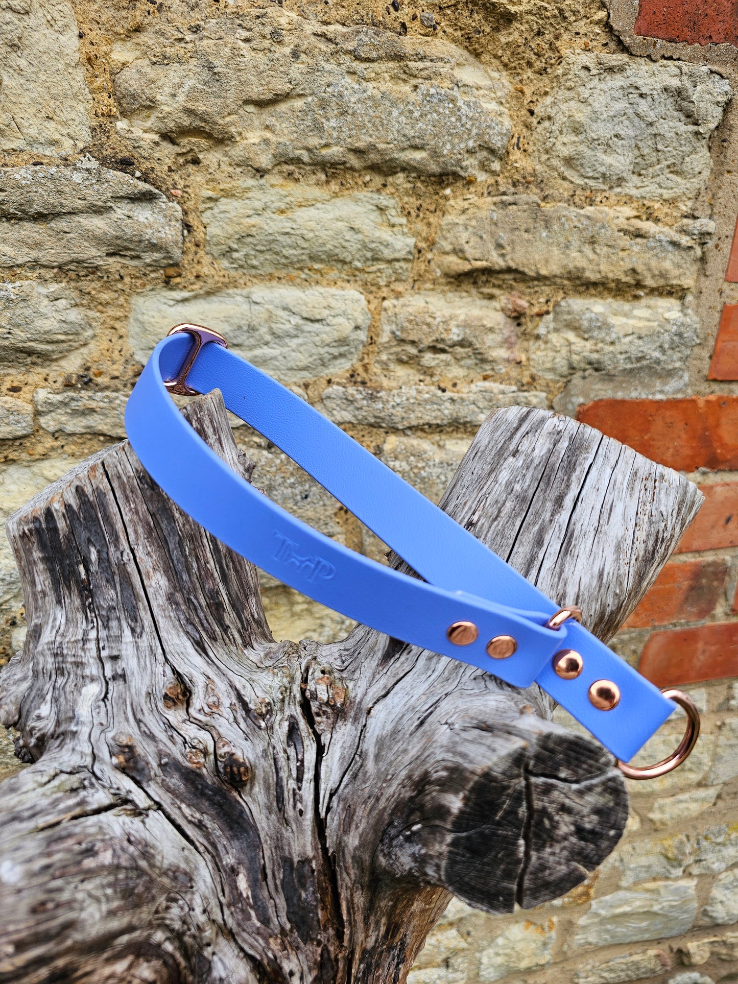 Periwinkle Waterproof BioThane® safe-stop Slip Collar