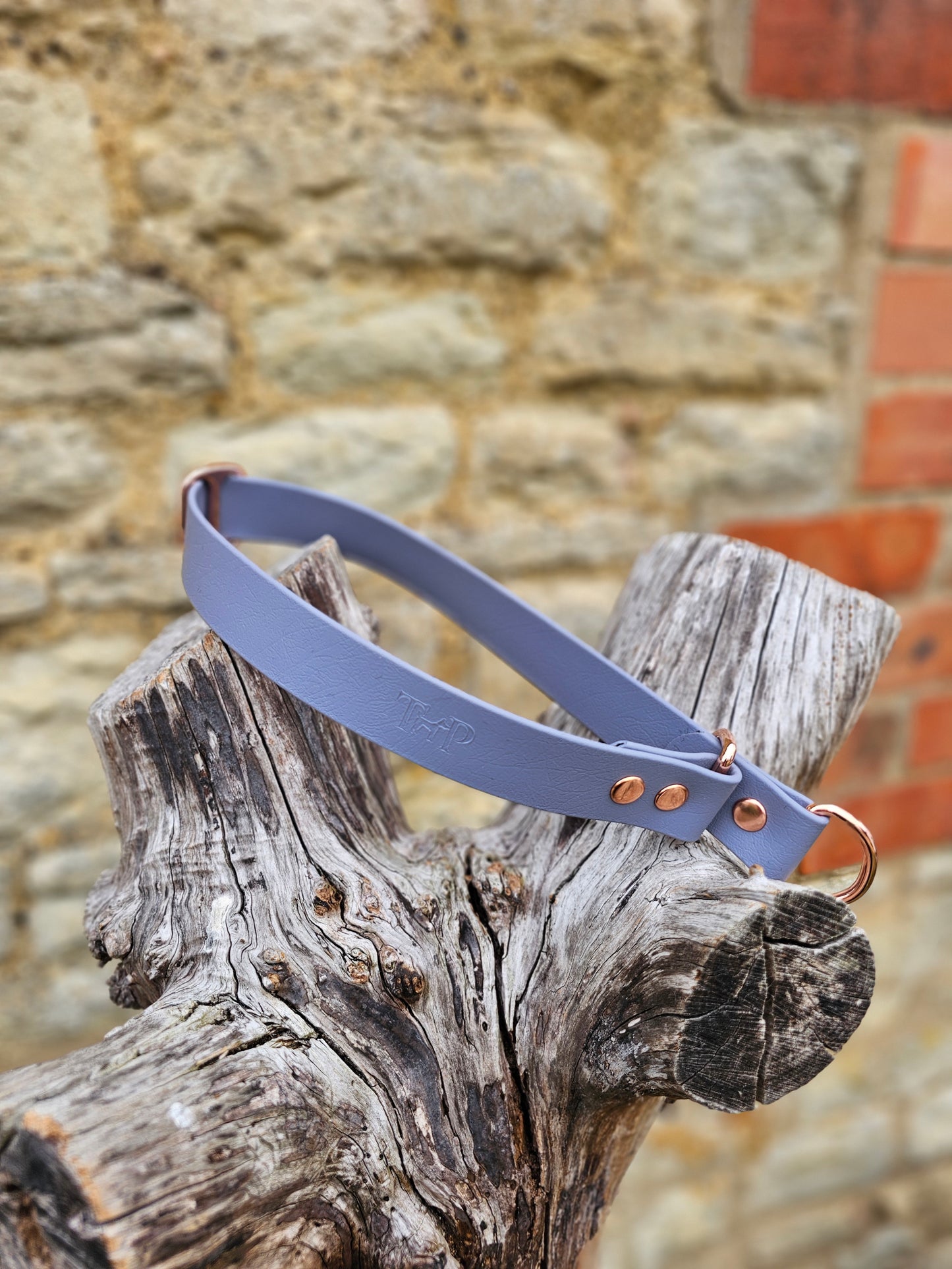 Grey Waterproof BioThane® safe-stop Slip Collar