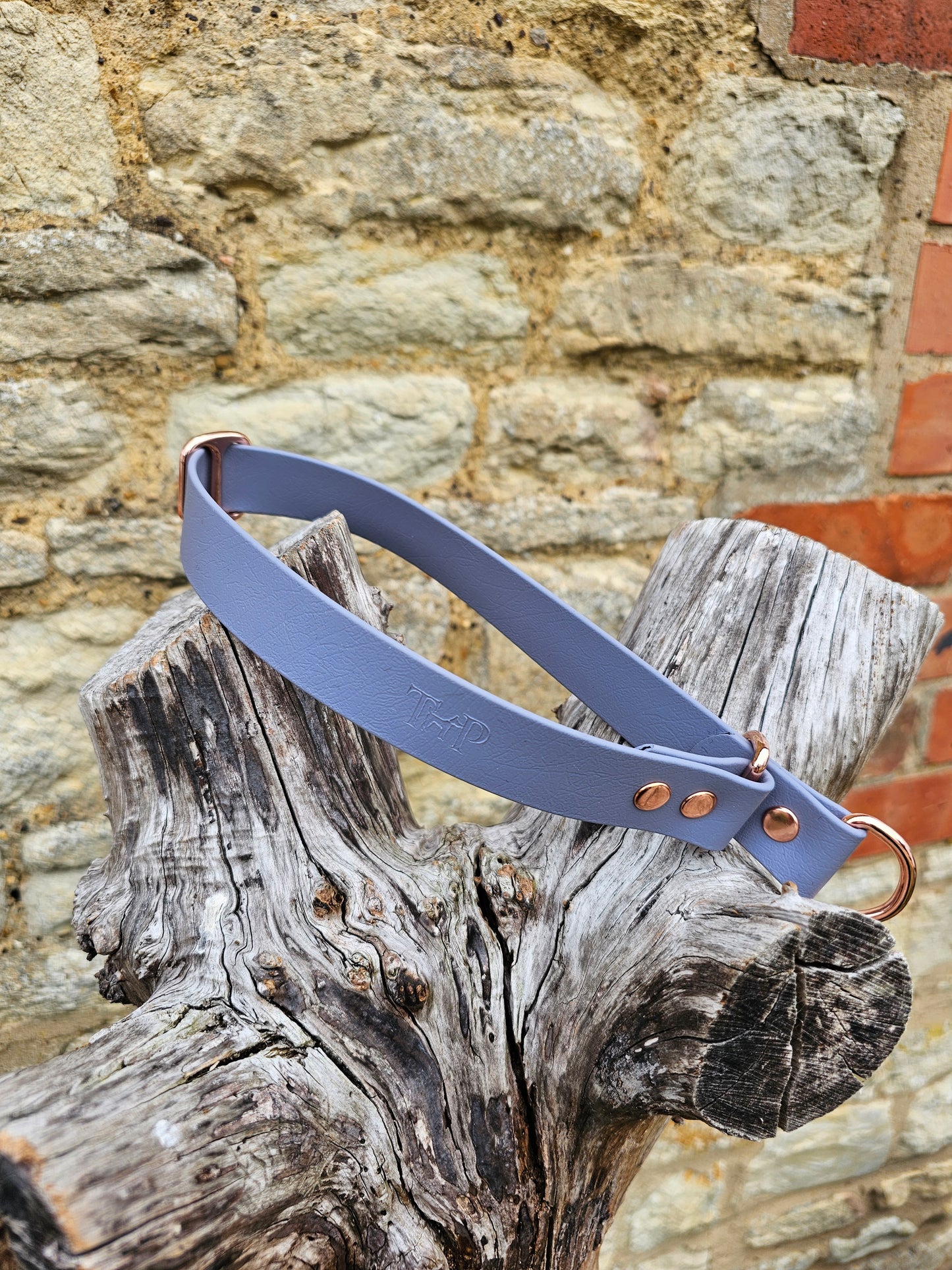Grey Waterproof BioThane® safe-stop Slip Collar