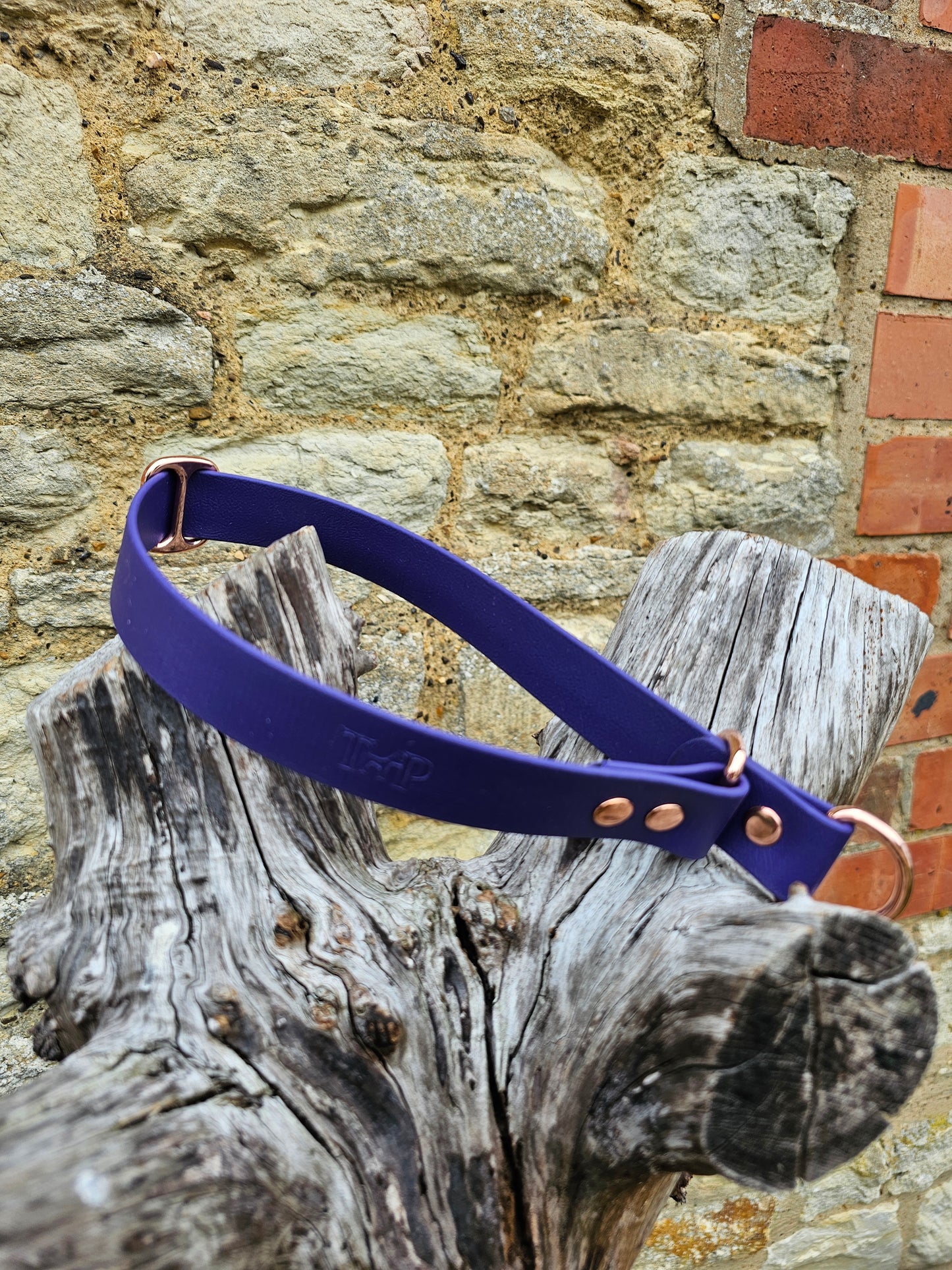 Purple Waterproof BioThane® safe-stop Slip Collar
