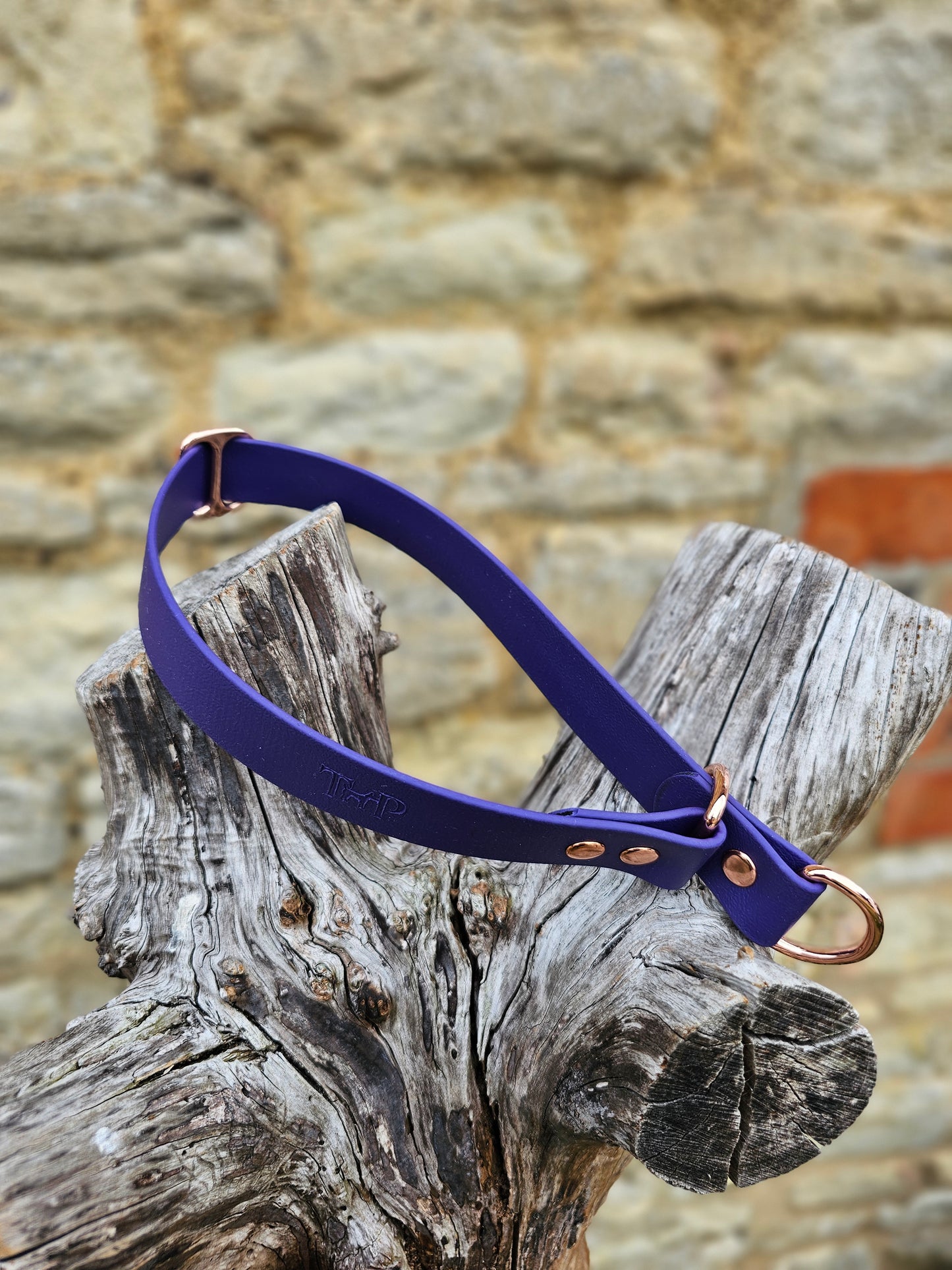 Purple Waterproof BioThane® safe-stop Slip Collar
