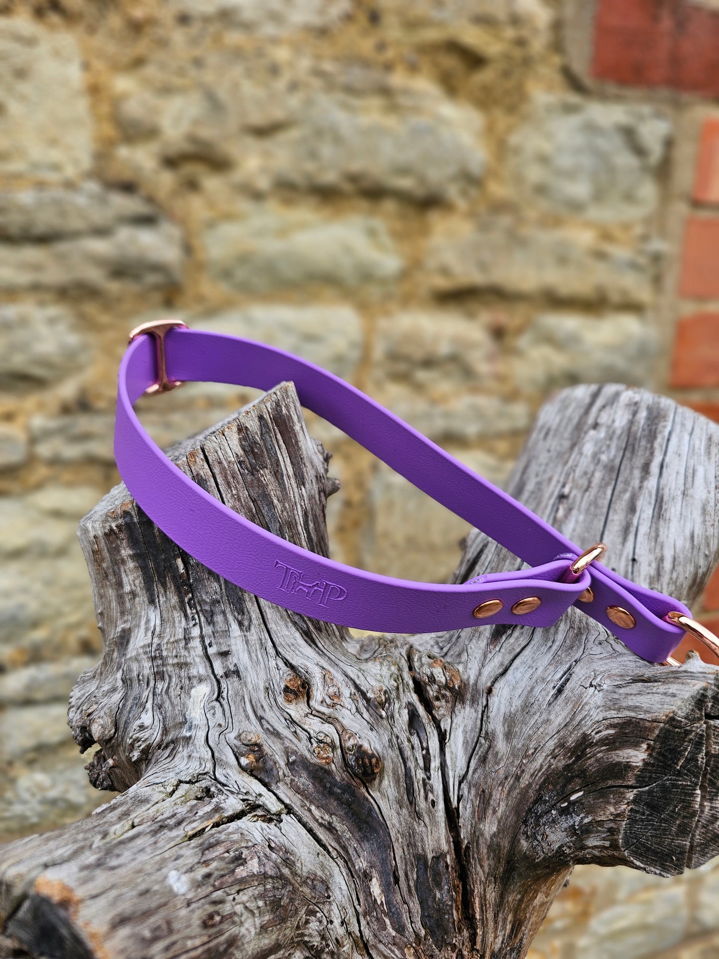Amethyst Waterproof BioThane® safe-stop Slip Collar