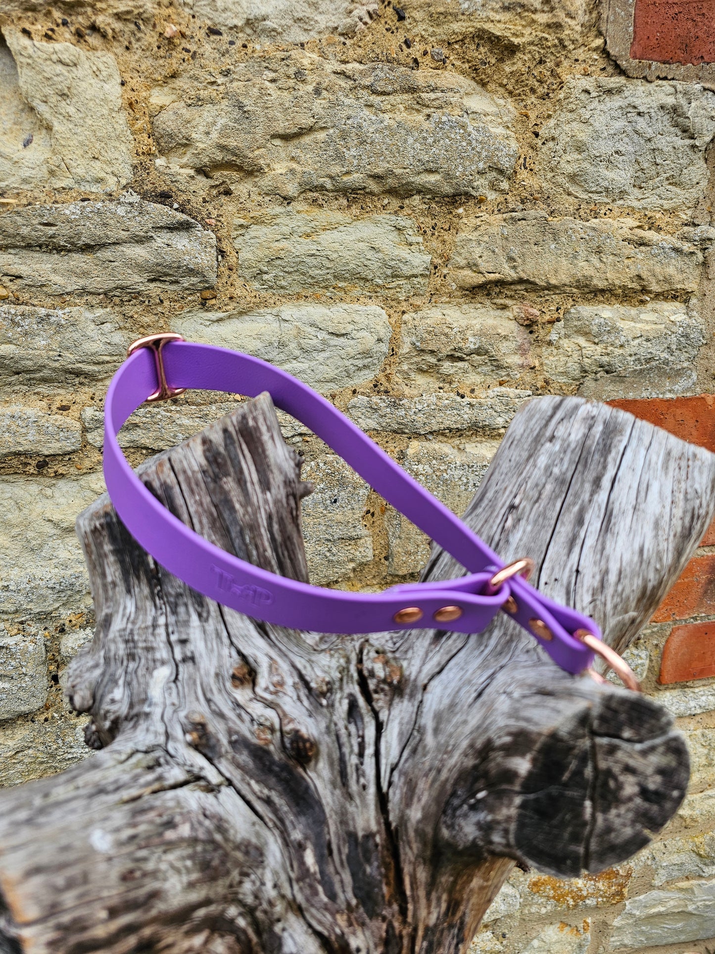 Amethyst Waterproof BioThane® safe-stop Slip Collar
