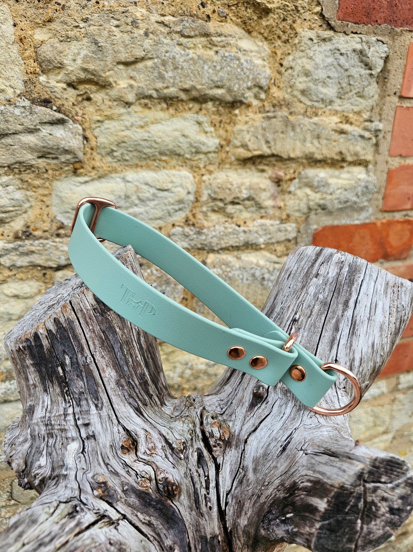 Sage Waterproof BioThane® safe-stop Slip Collar