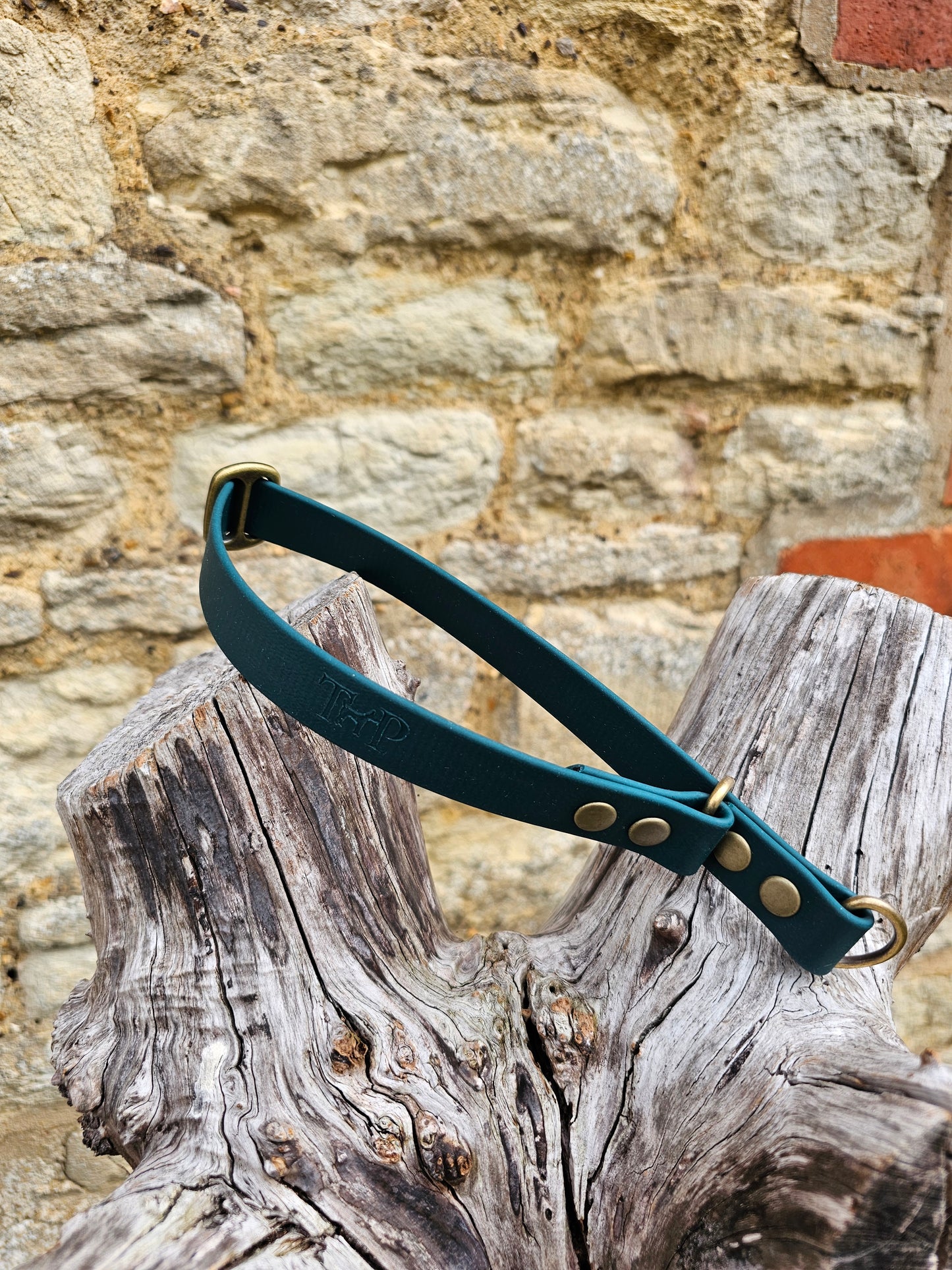 Dark Green Waterproof BioThane® safe-stop Slip Collar