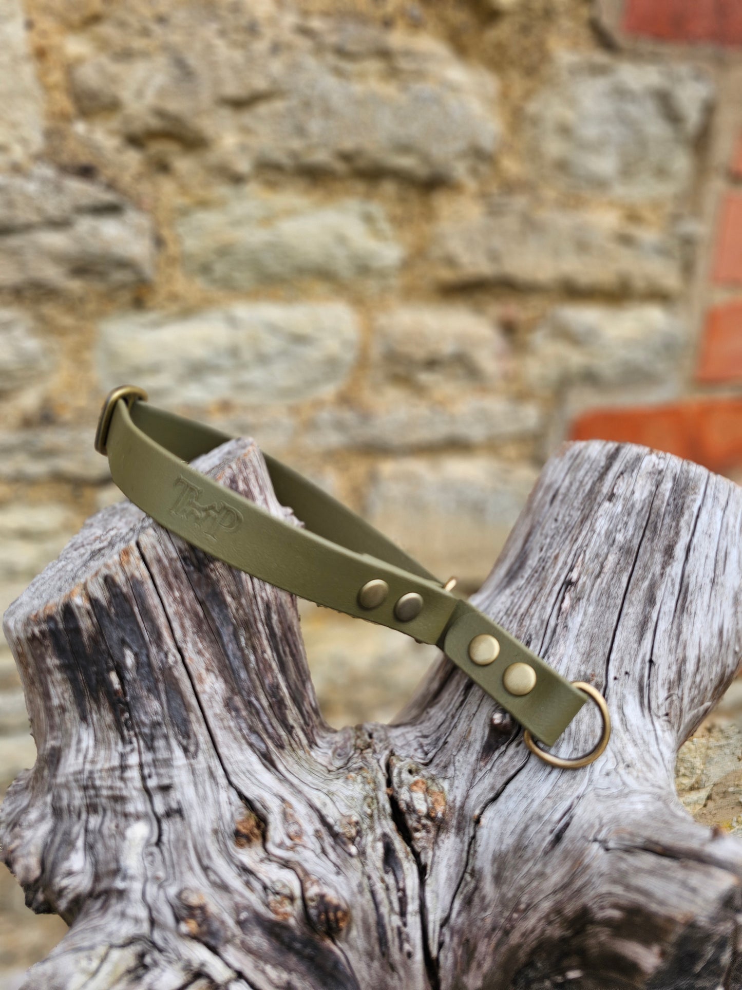 Olive Waterproof BioThane® safe-stop Slip Collar