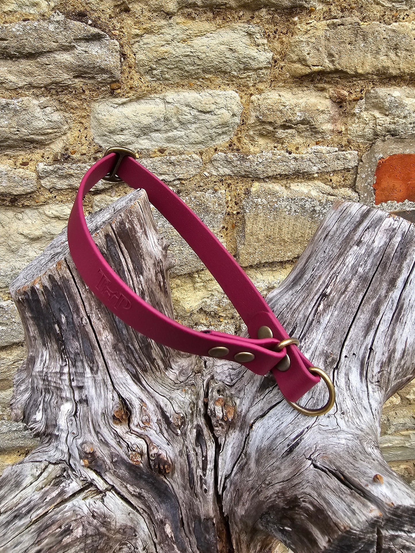 Burgundy Waterproof BioThane® safe-stop Slip Collar