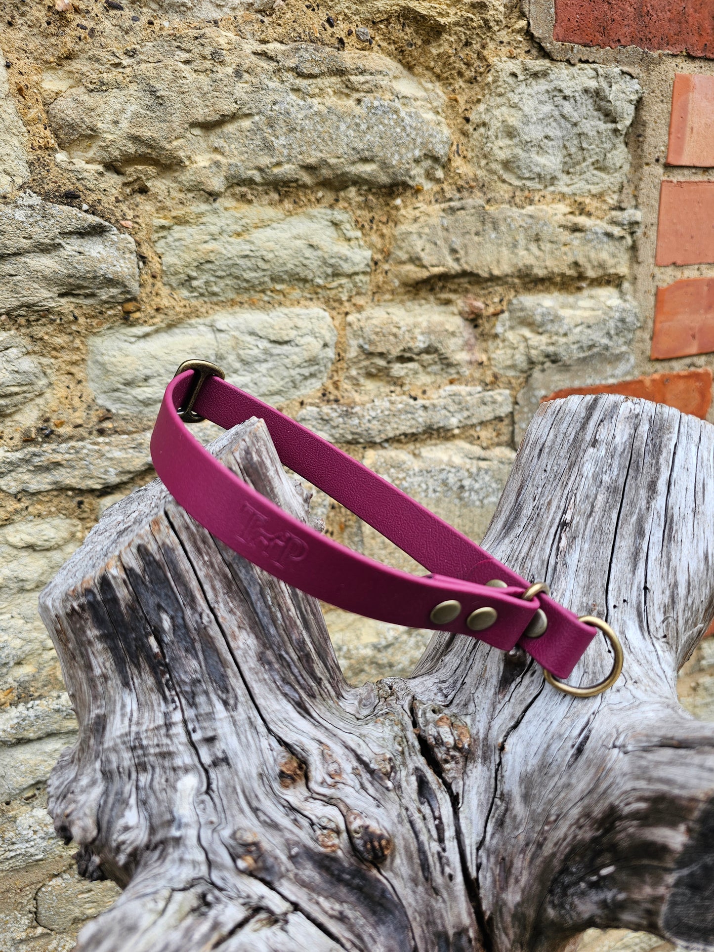 Burgundy Waterproof BioThane® safe-stop Slip Collar