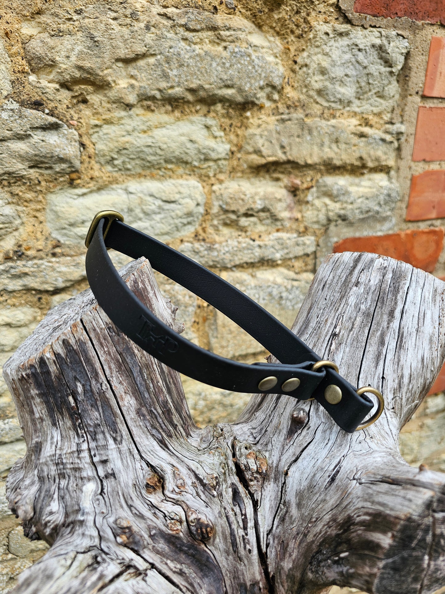 Black Waterproof BioThane® safe-stop Slip Collar