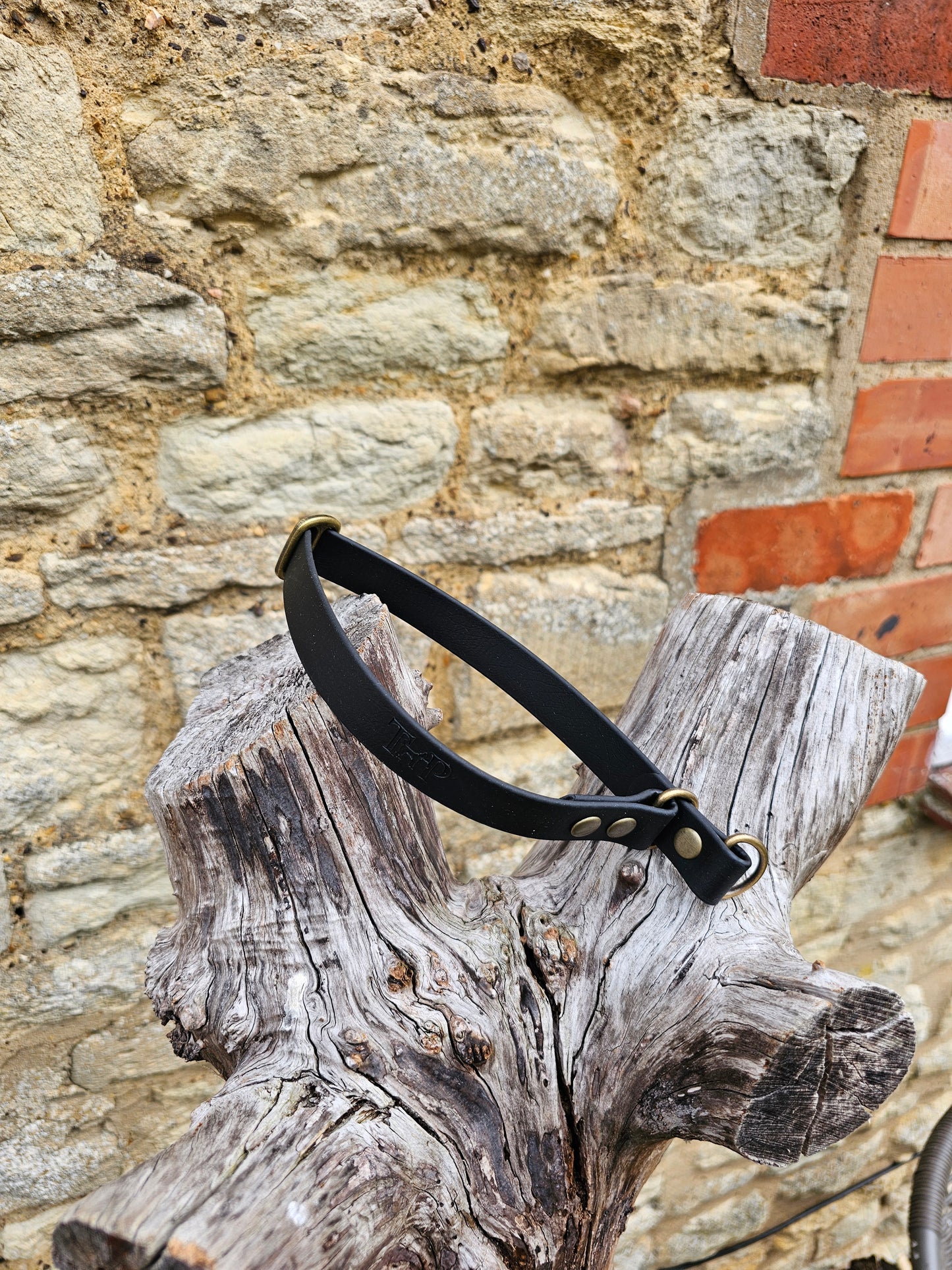 Black Waterproof BioThane® safe-stop Slip Collar